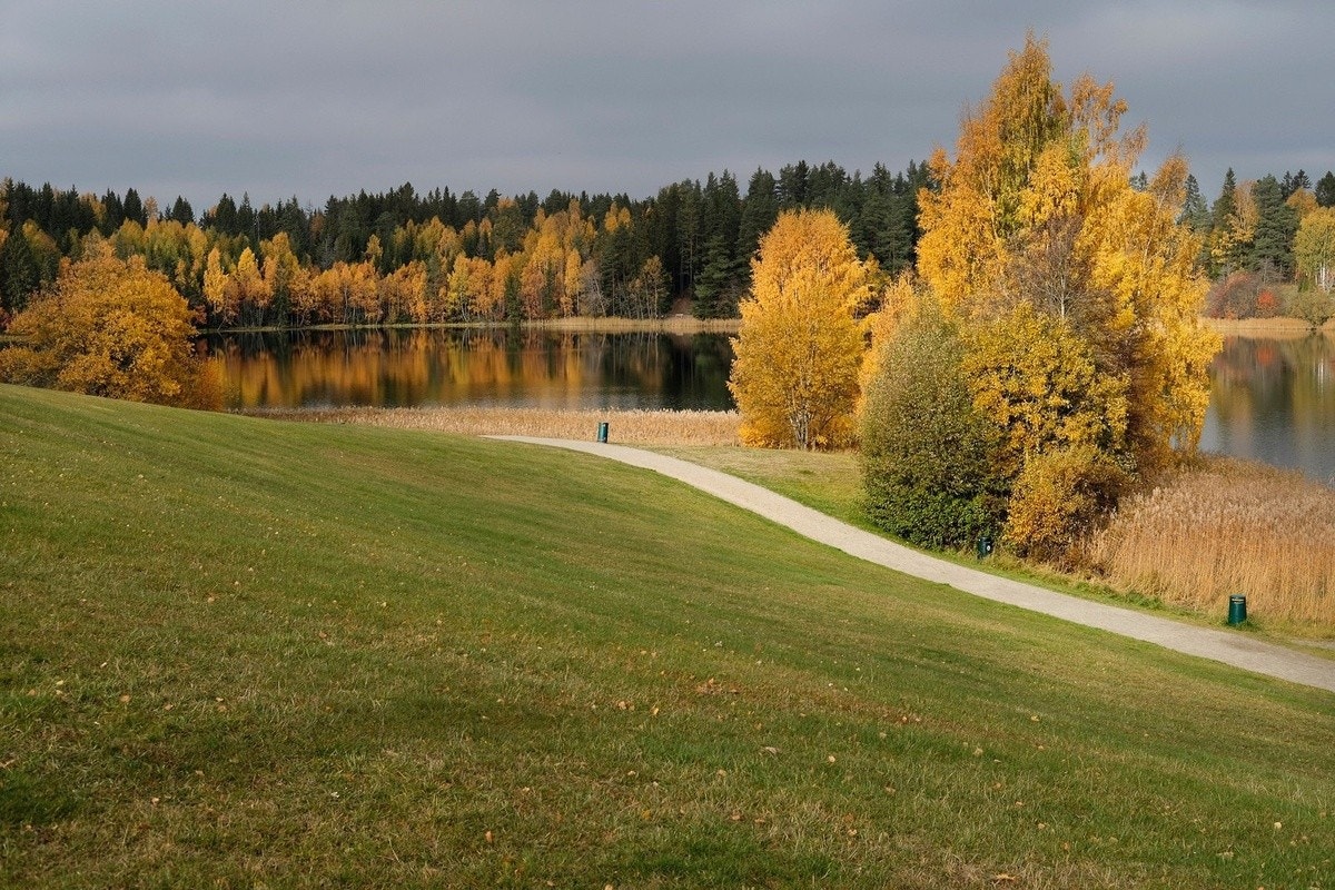 Nordbytjernet Galleribilde