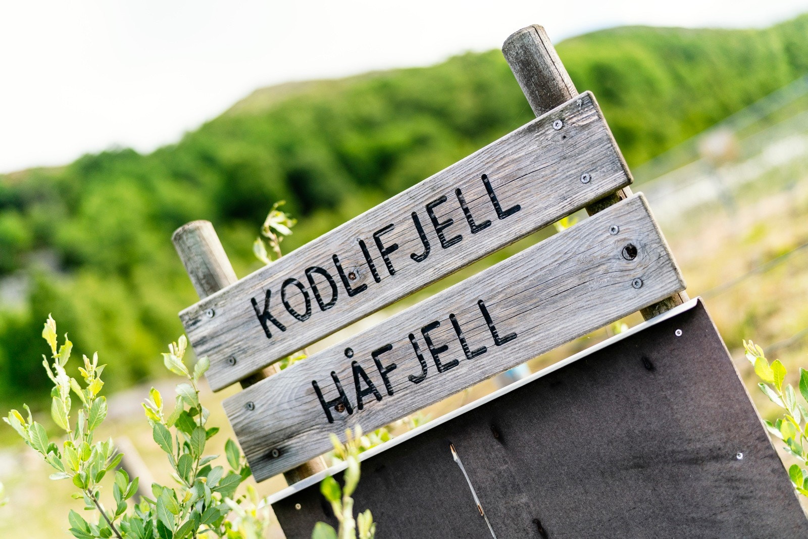 Turområdene står i kø. Kun noen få meter fra boligen. Galleribilde