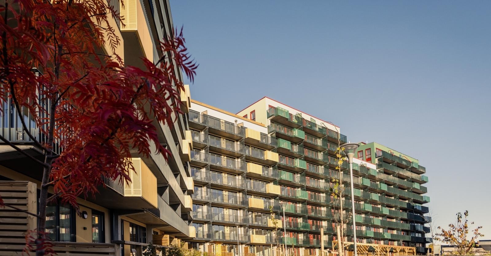 Fasader i ulike farger gir liv og skaper dynamikk bygningene mot hverandre og Galleribilde