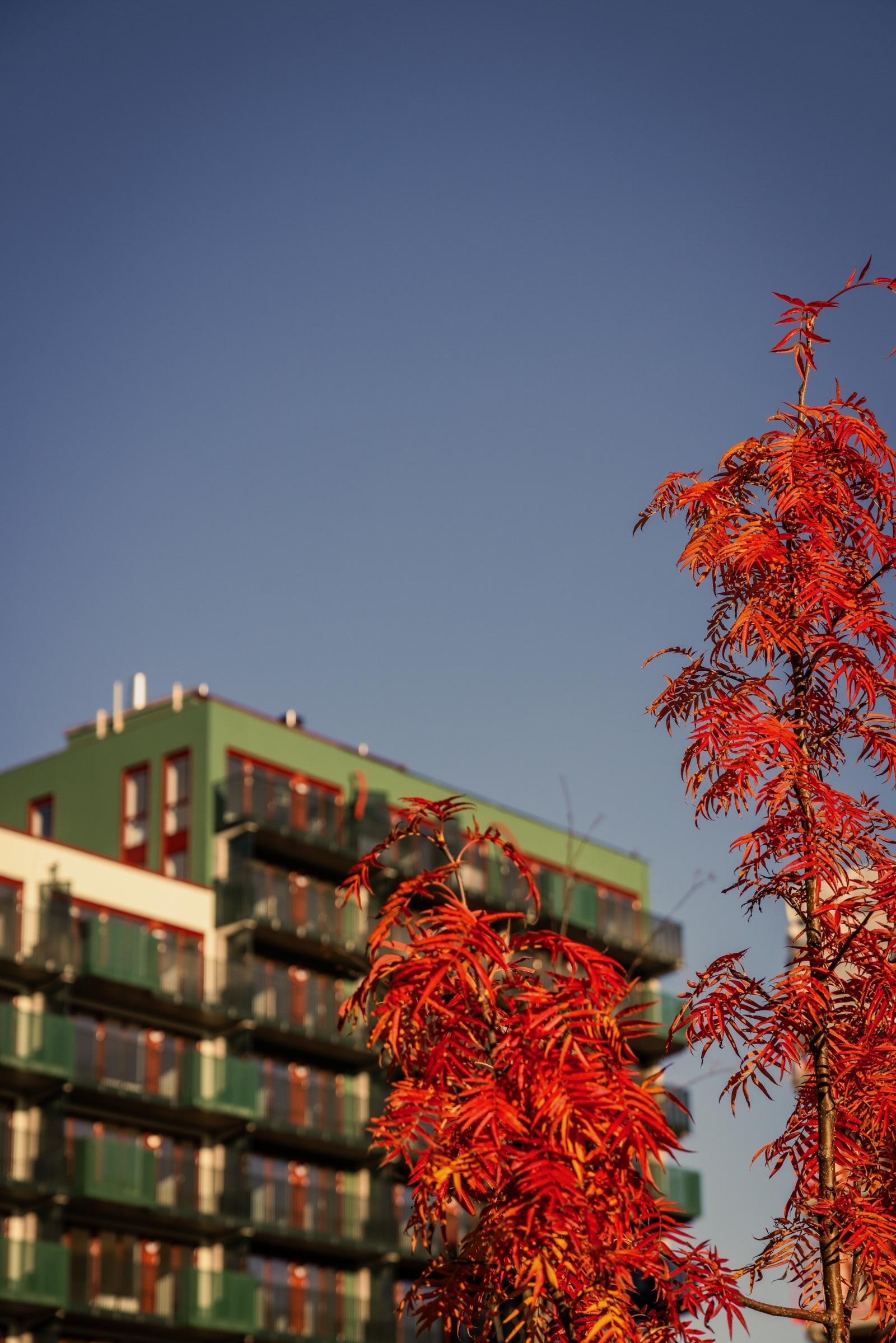 Snart kan du kjøpe en innflytningsklar, splitter ny leilighet - Velkommen til Ulvenkroken! Galleribilde