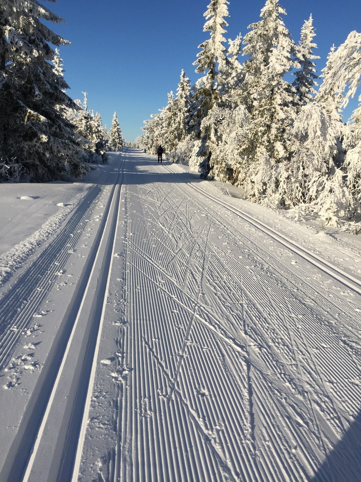 Furadalsveien 16 - skiløyper.jpg Galleribilde