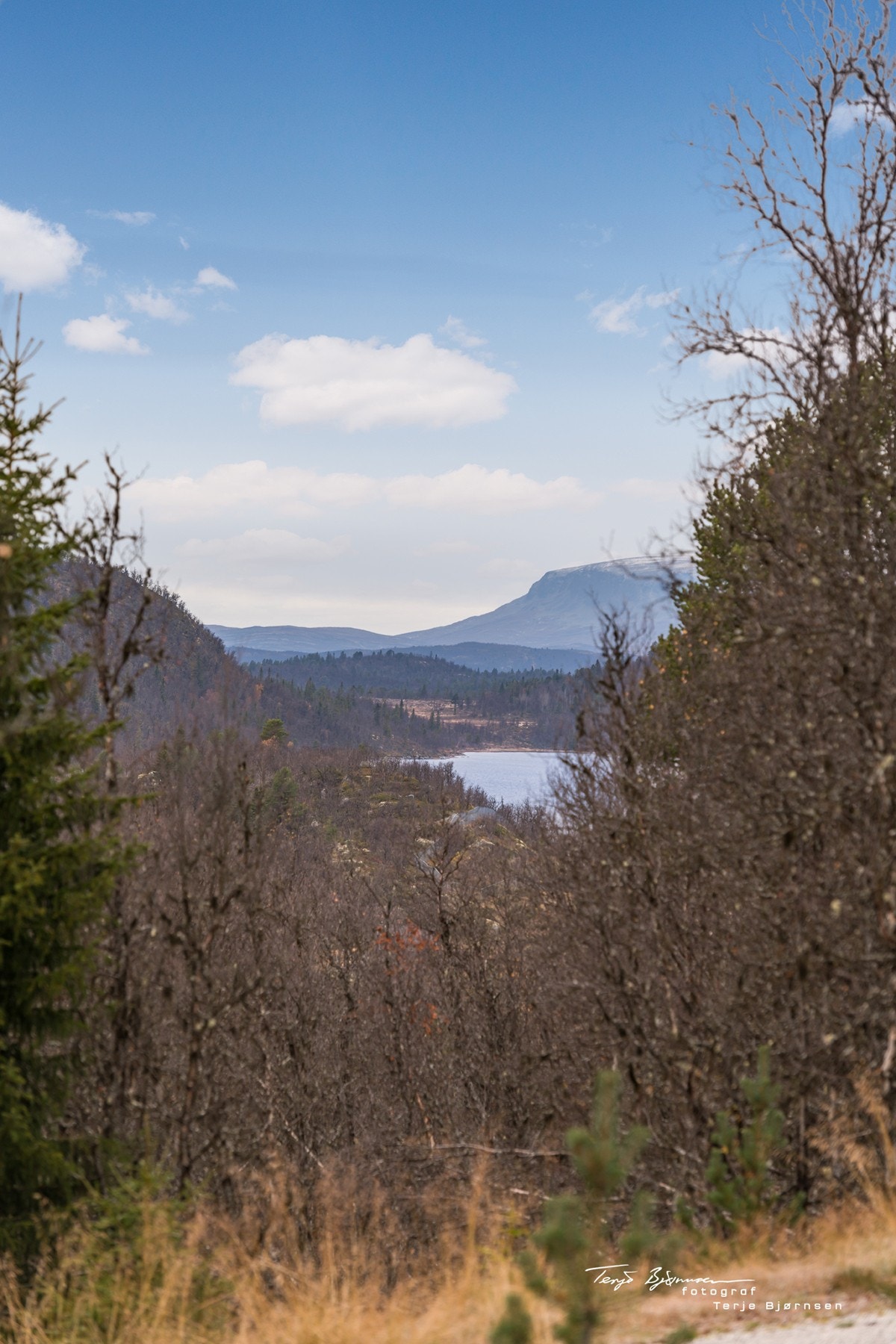 Utsikten fra hytta Galleribilde