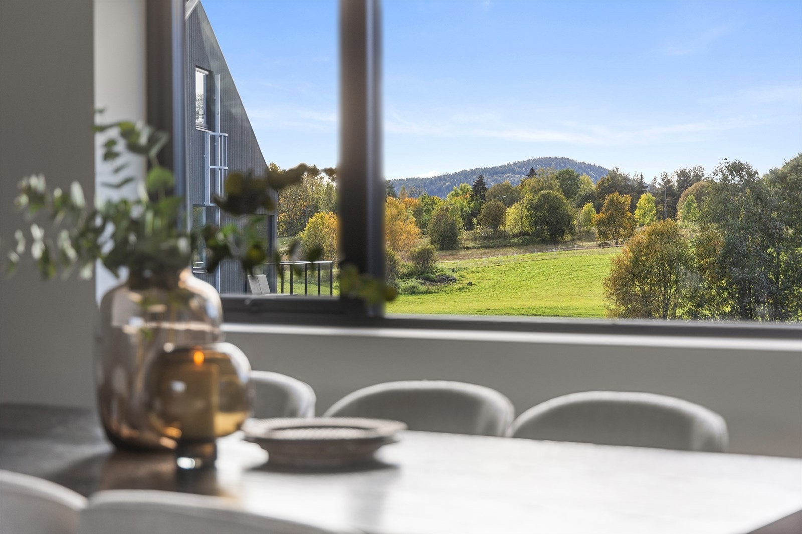 Flott utsikt mot jordet og fjellet. Galleribilde