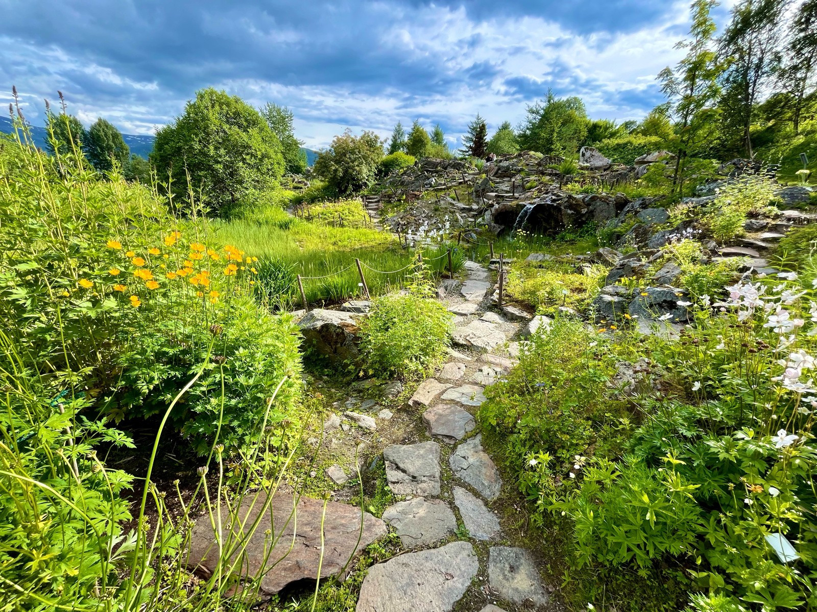 Botanisk hage er rett over veien med den botaniske hagen som til og med cafe på sommertider.