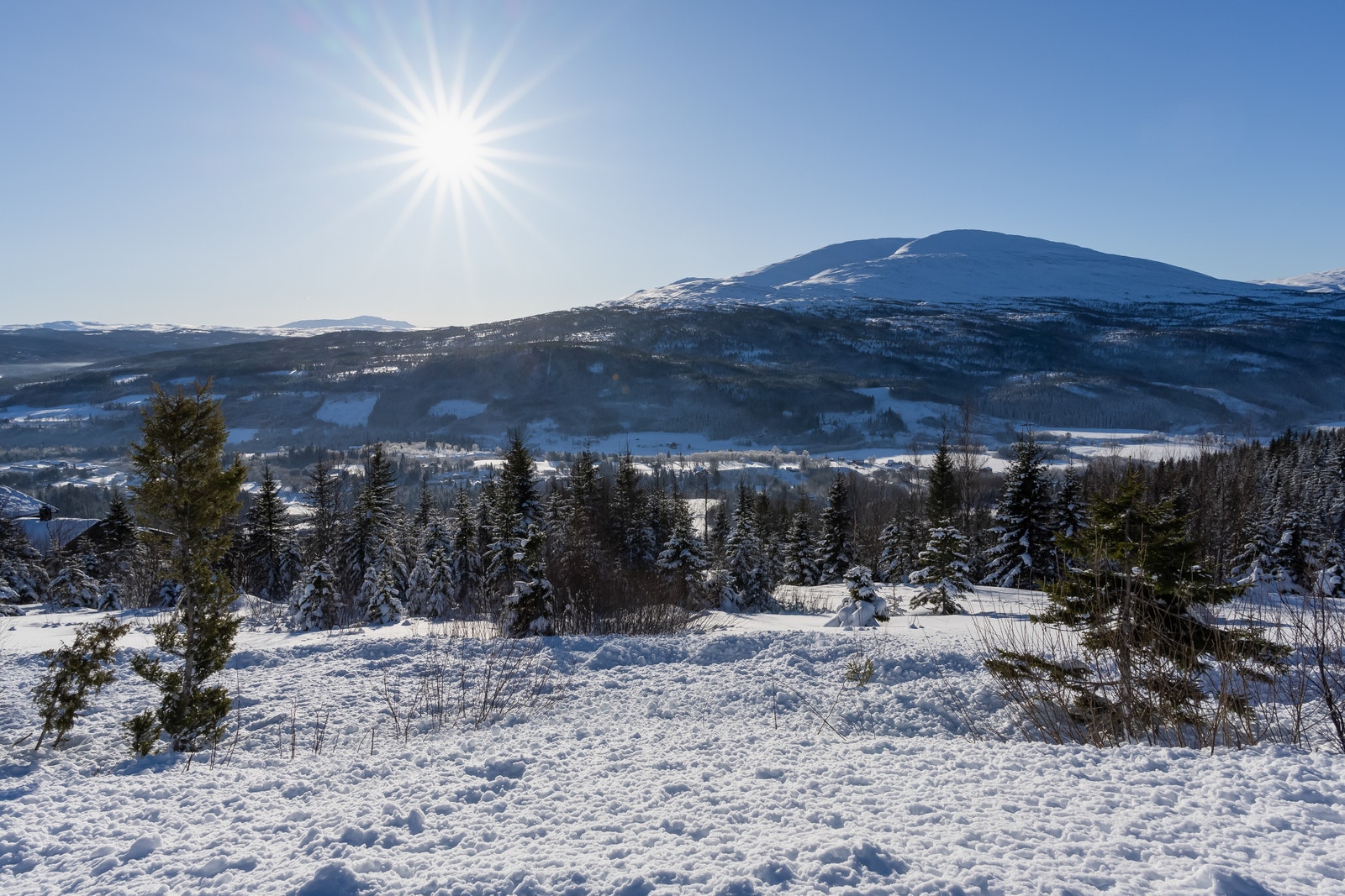 Utsikt i sør mot fjellene på andre siden av dalen Galleribilde