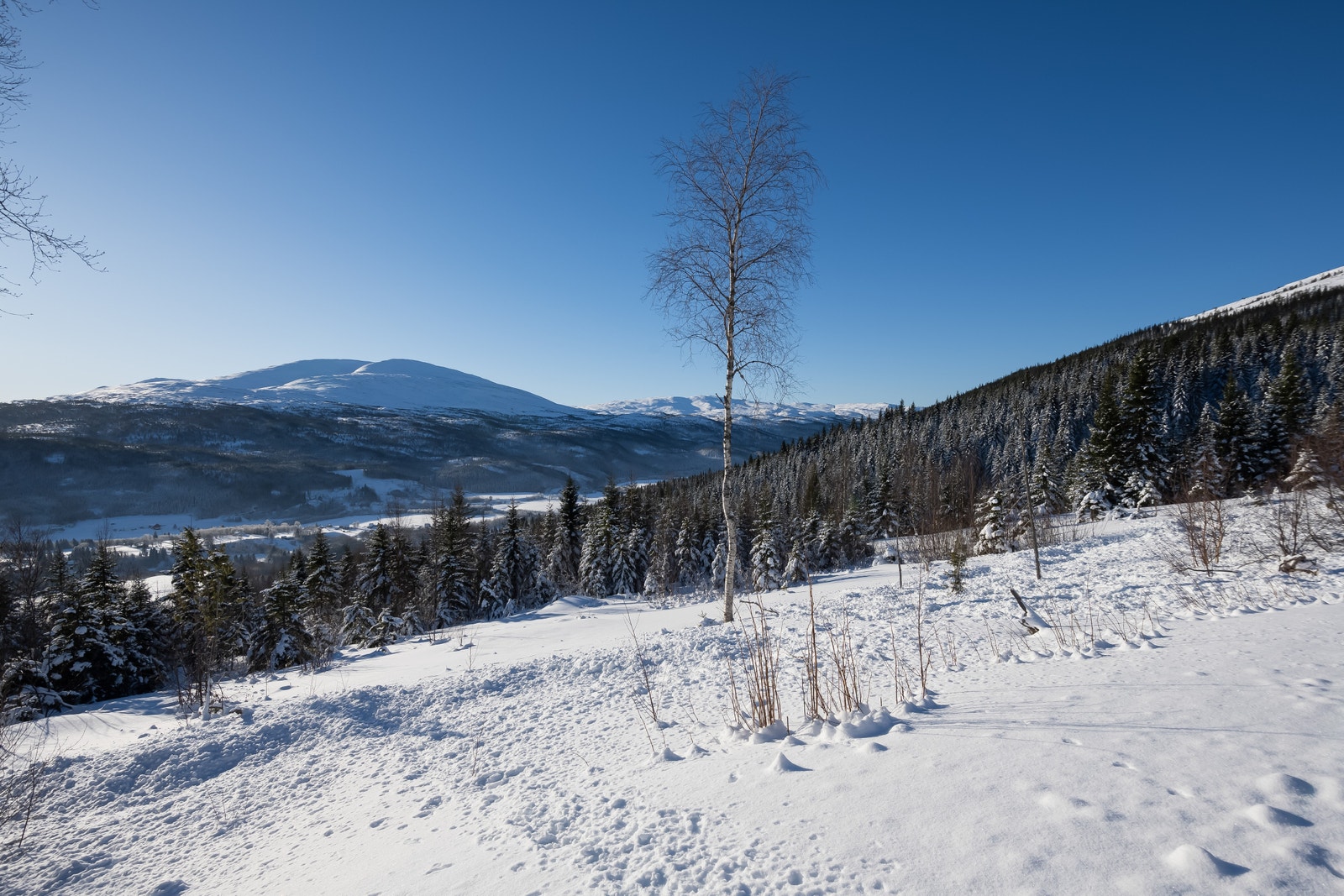 Nydelig utsikt i sørvest Galleribilde