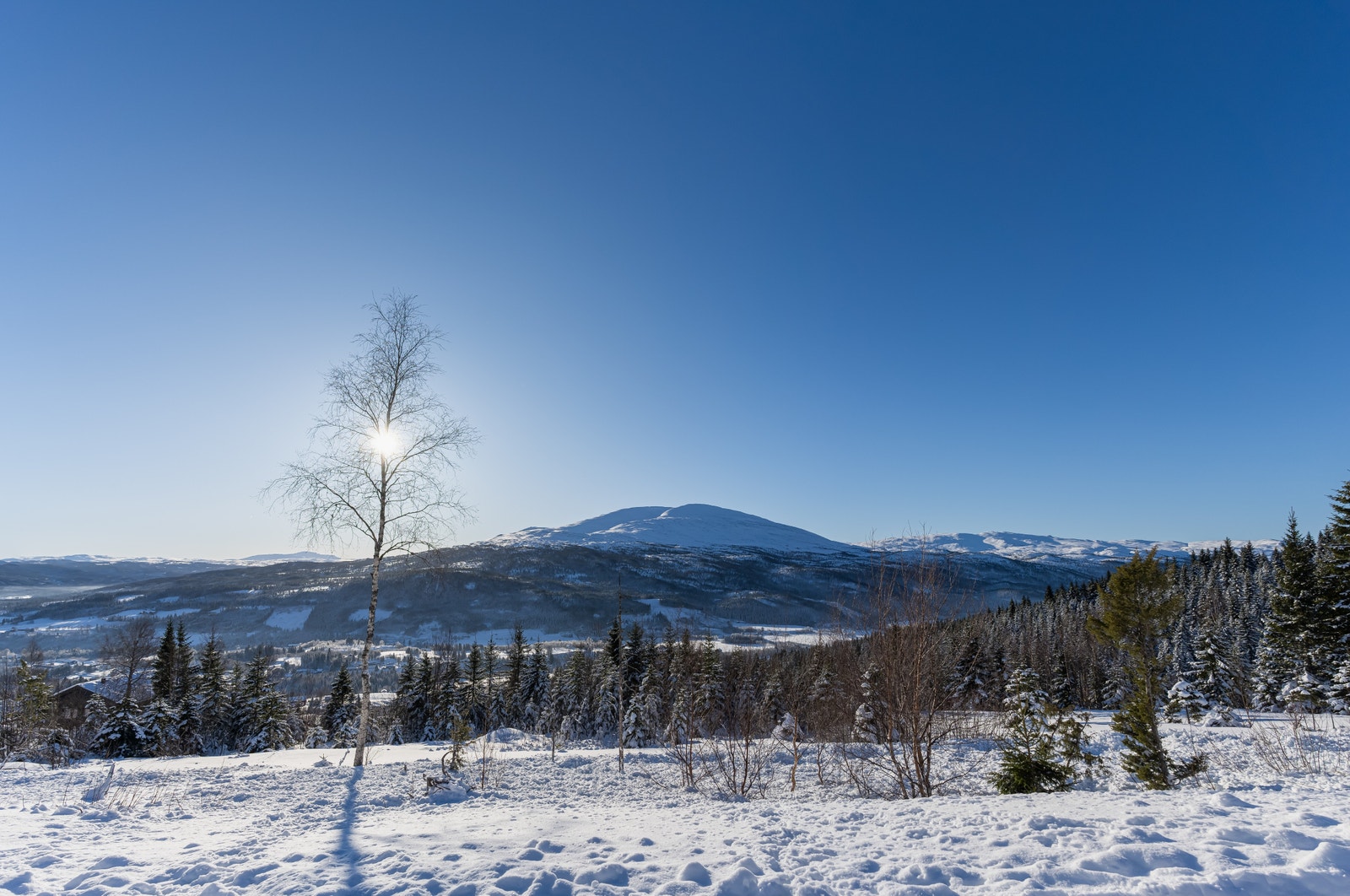 Nydelig utsikt og flotte solforhold på tomta. Man har utsikt fra øst til vest og man kan anlegge terrasse uten innsyn. Galleribilde