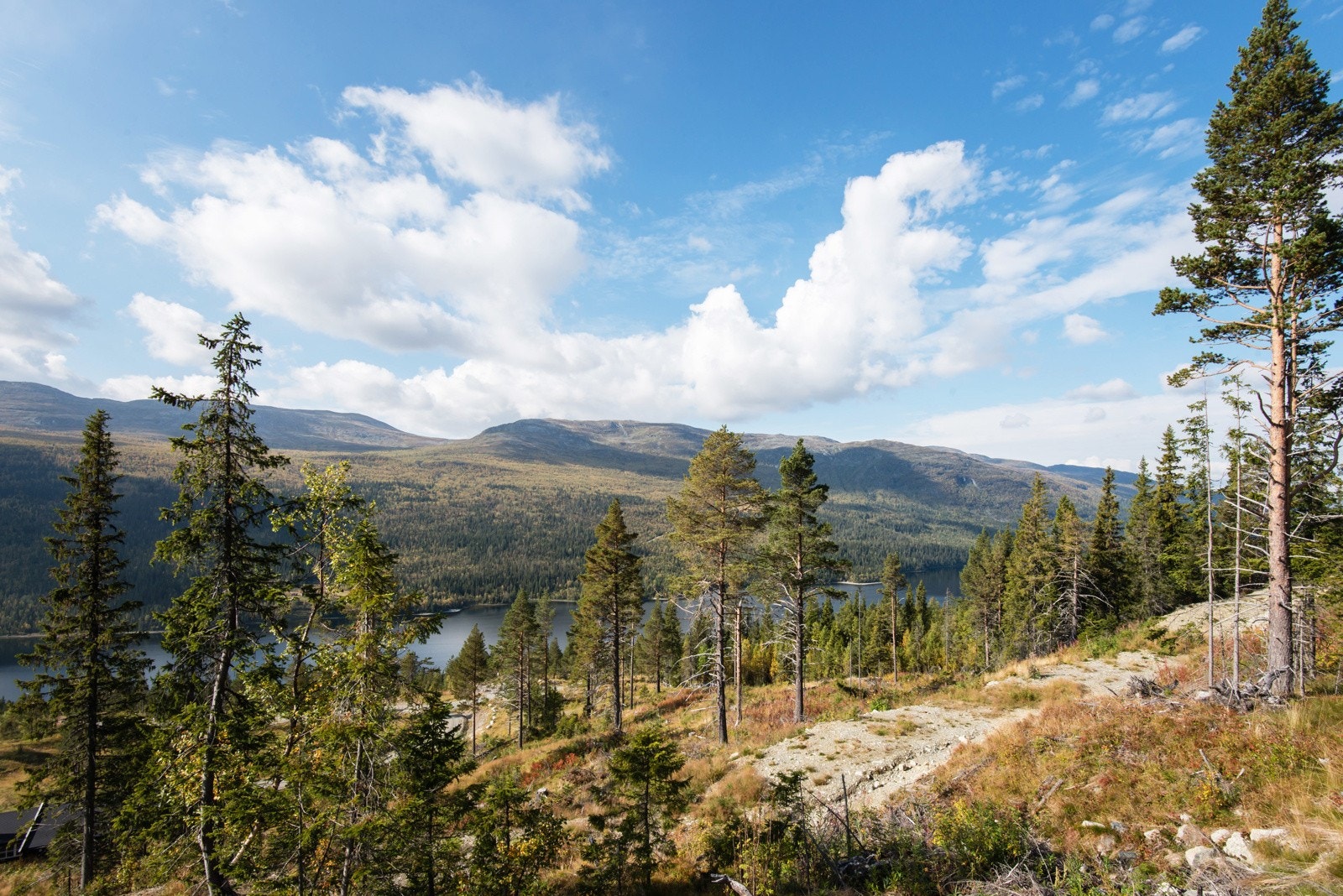 Med sin rolige beliggenhet og urørt natur er Espedalen perfekt for deg som søker ro, naturopplevelser og friluftsaktiviteter. Galleribilde