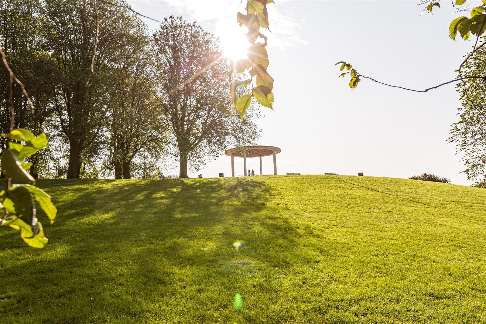 Torshovparken er rett ved boligen. Sittegrupper og felles grillplasser Galleribilde