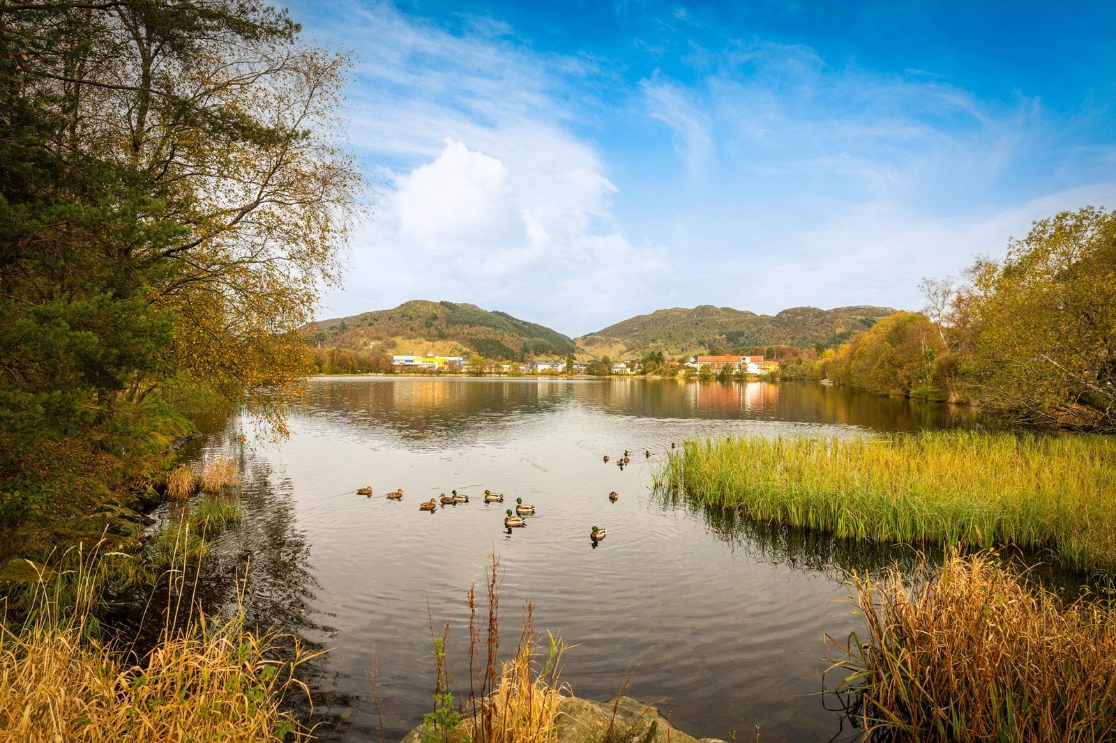 Idyllisk beliggenhet like ved Liavatnet på Nyborg Galleribilde