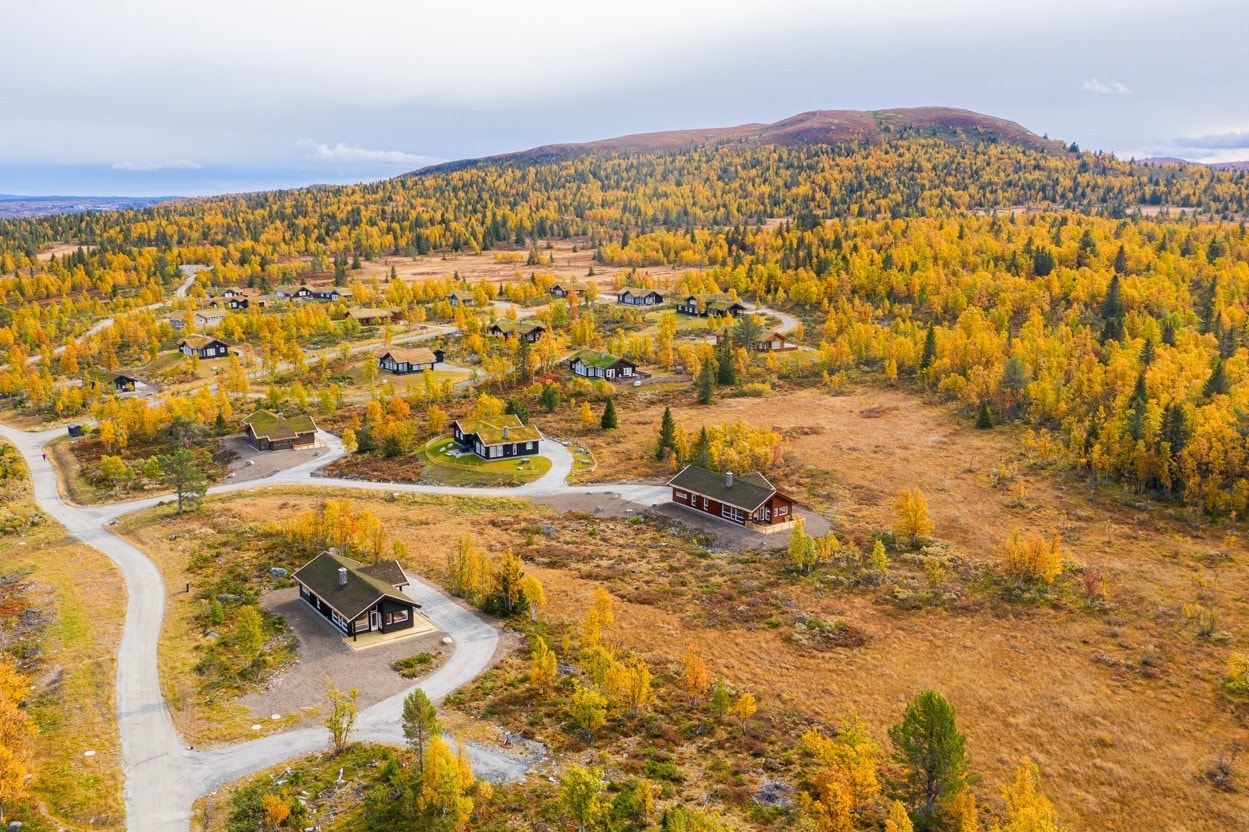 Bilde fra området (høst) Galleribilde