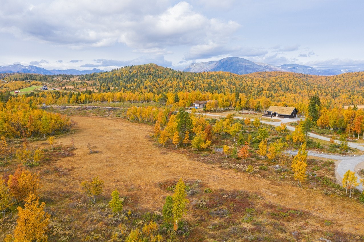 Bilde fra området (høst) Galleribilde
