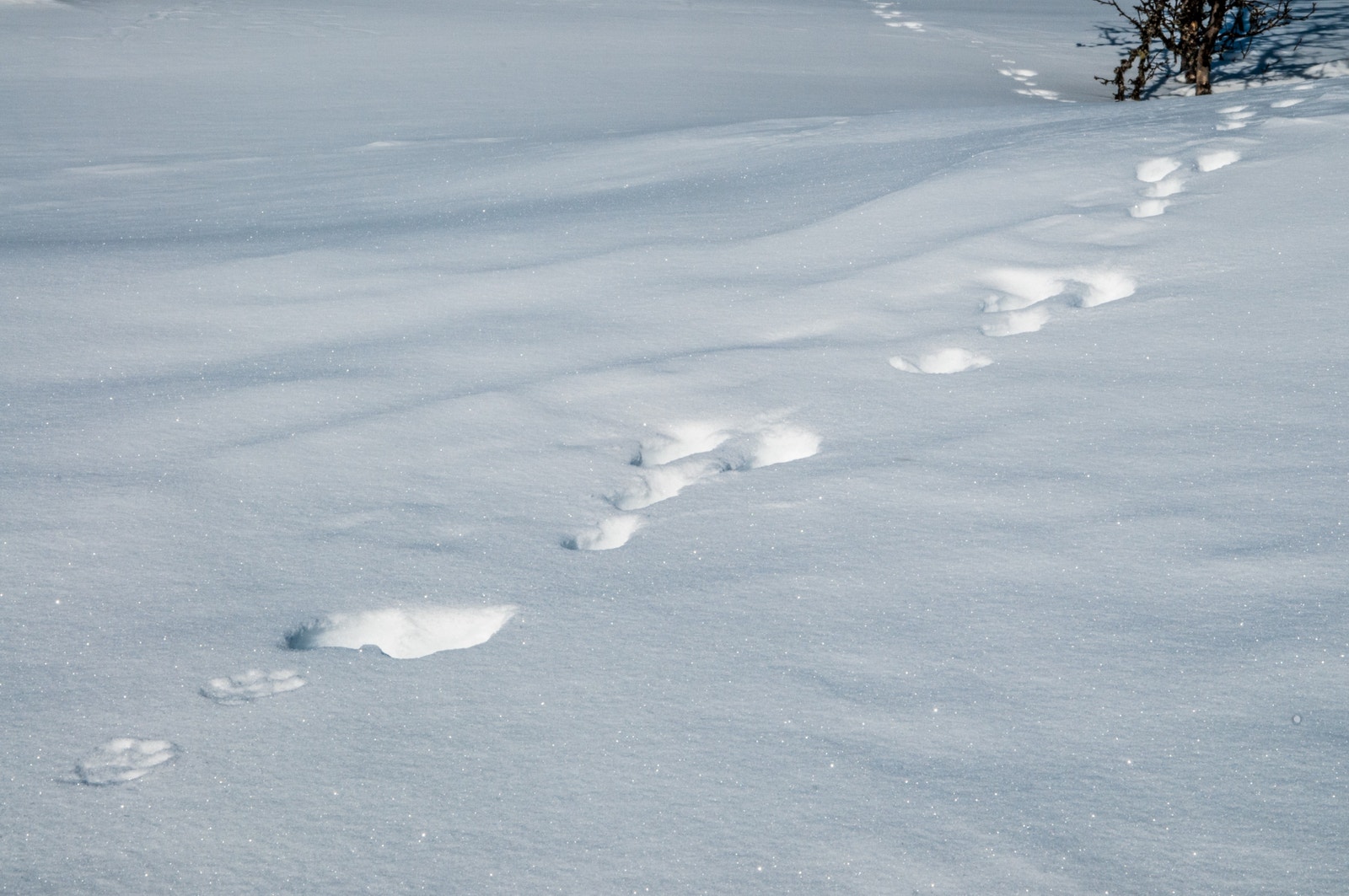 Bilde fra området (vinter) Galleribilde