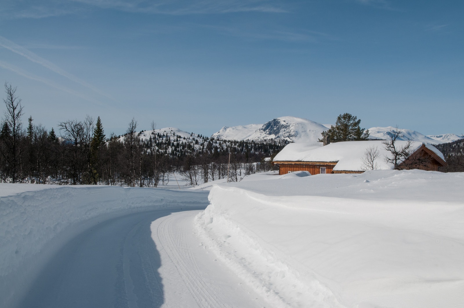 Bilde fra området (vinter) Galleribilde