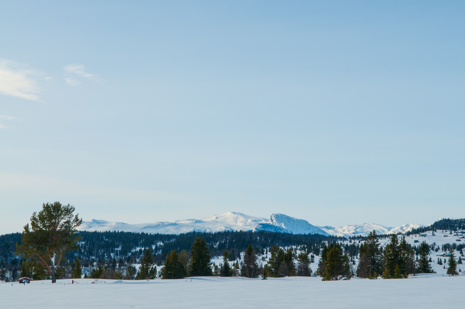 Bilde fra området (vinter) Galleribilde
