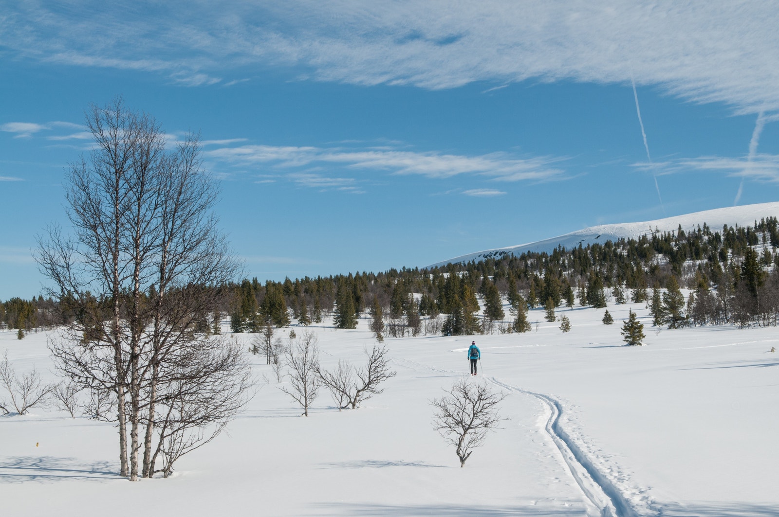 Bilde fra området (vinter) Galleribilde