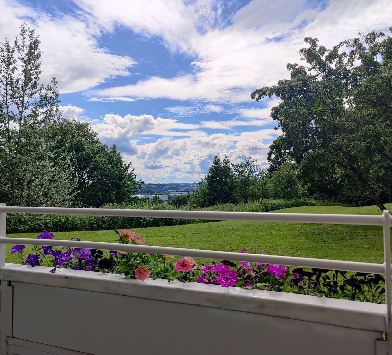 Fra verandaen ser man utover herlige grøntarealer tilknyttet borettslaget. Galleribilde
