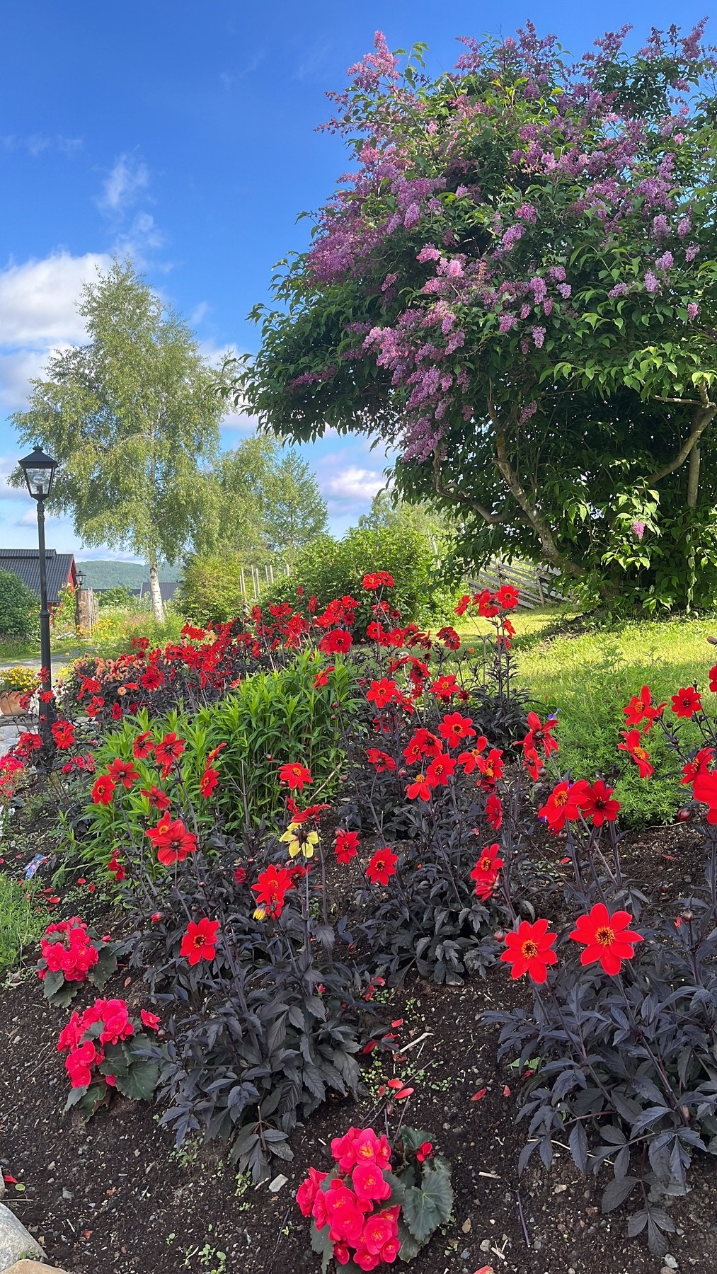 Stemningsbilde Galleribilde