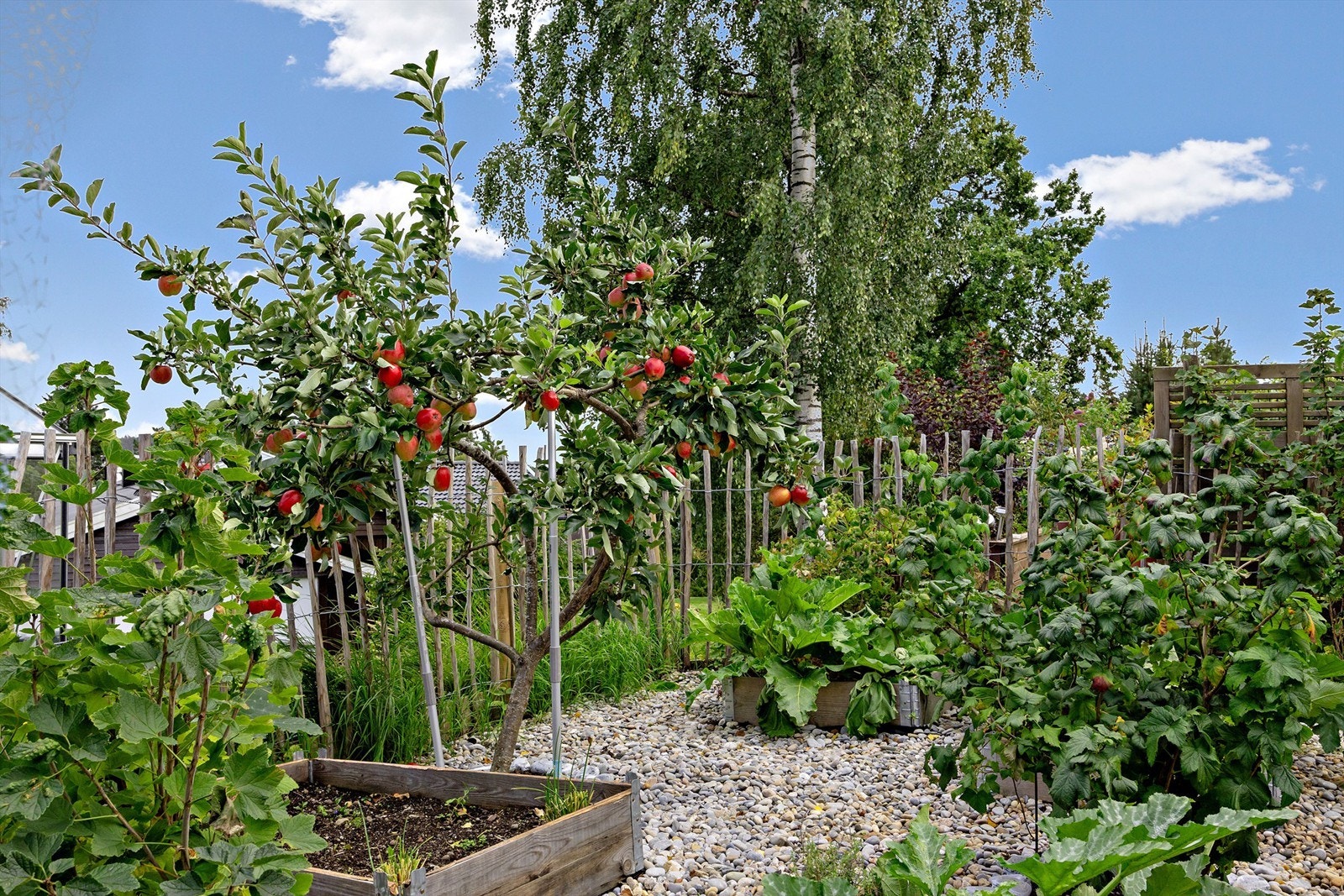 Deler av tomten er gjerdet inn Galleribilde