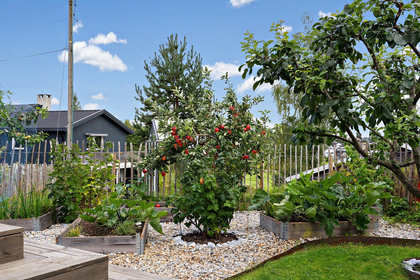 Hagen er pent opparbeidet med prydbusker, frukttrær, plantekasser og blomster Galleribilde