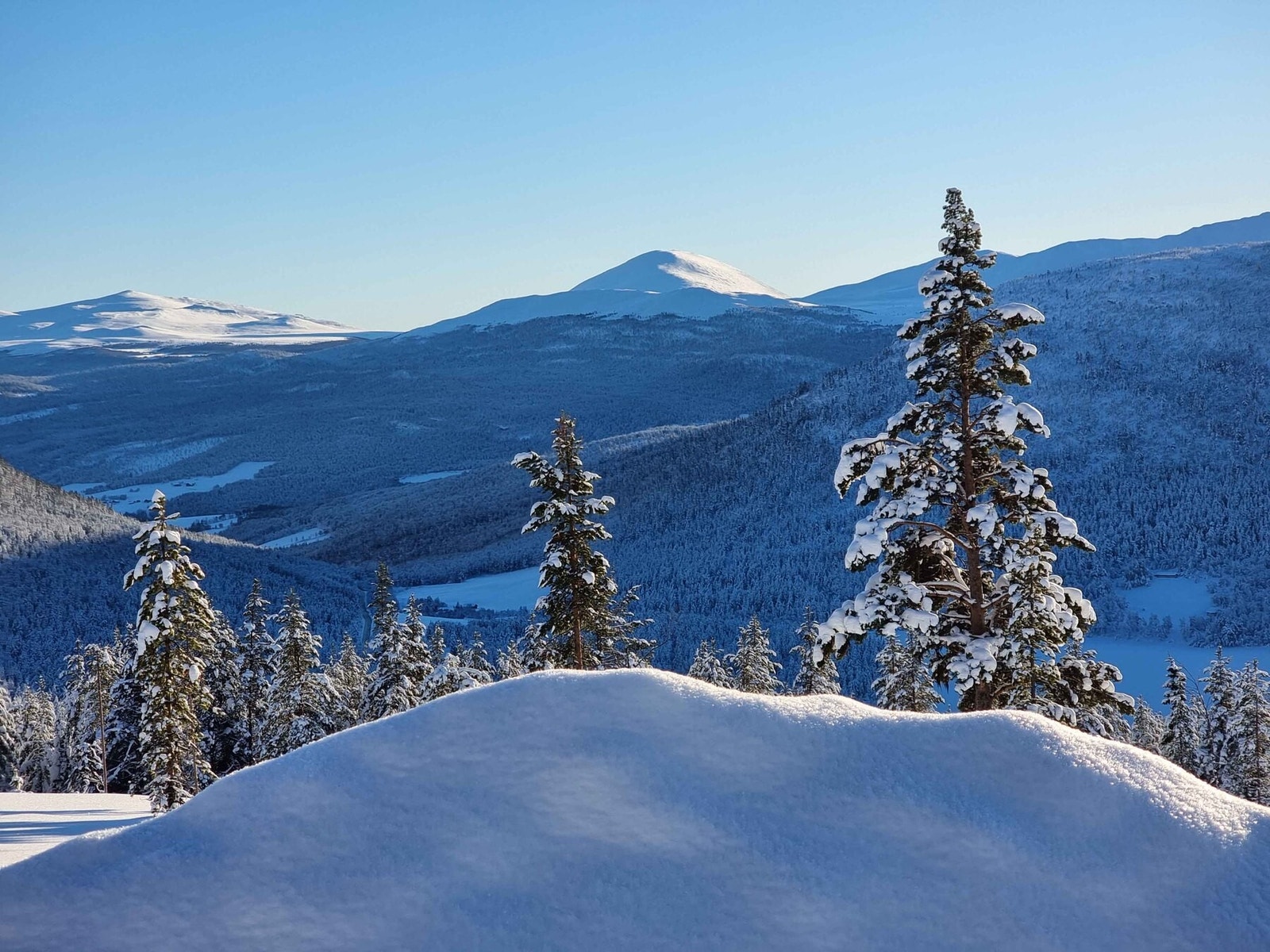 Heidalsmuen i vinterdrak Galleribilde