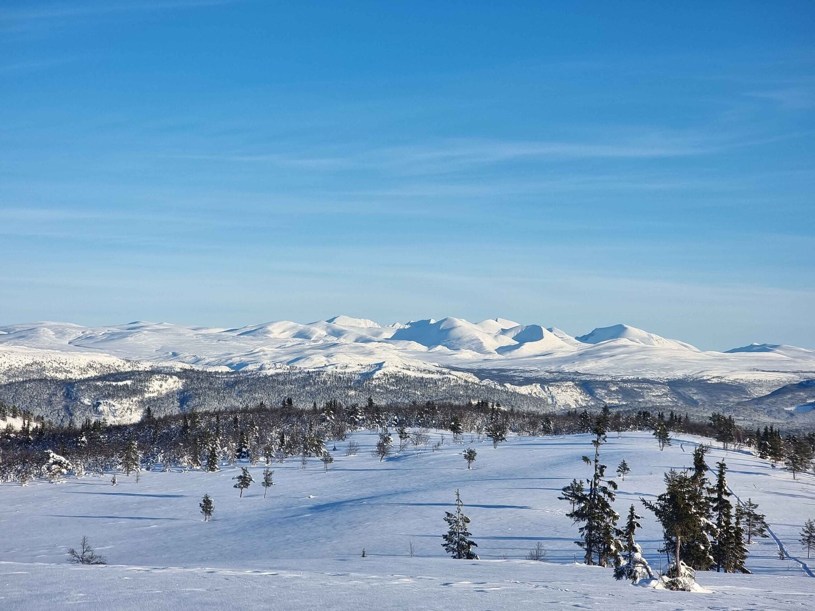 For et panorama! Galleribilde