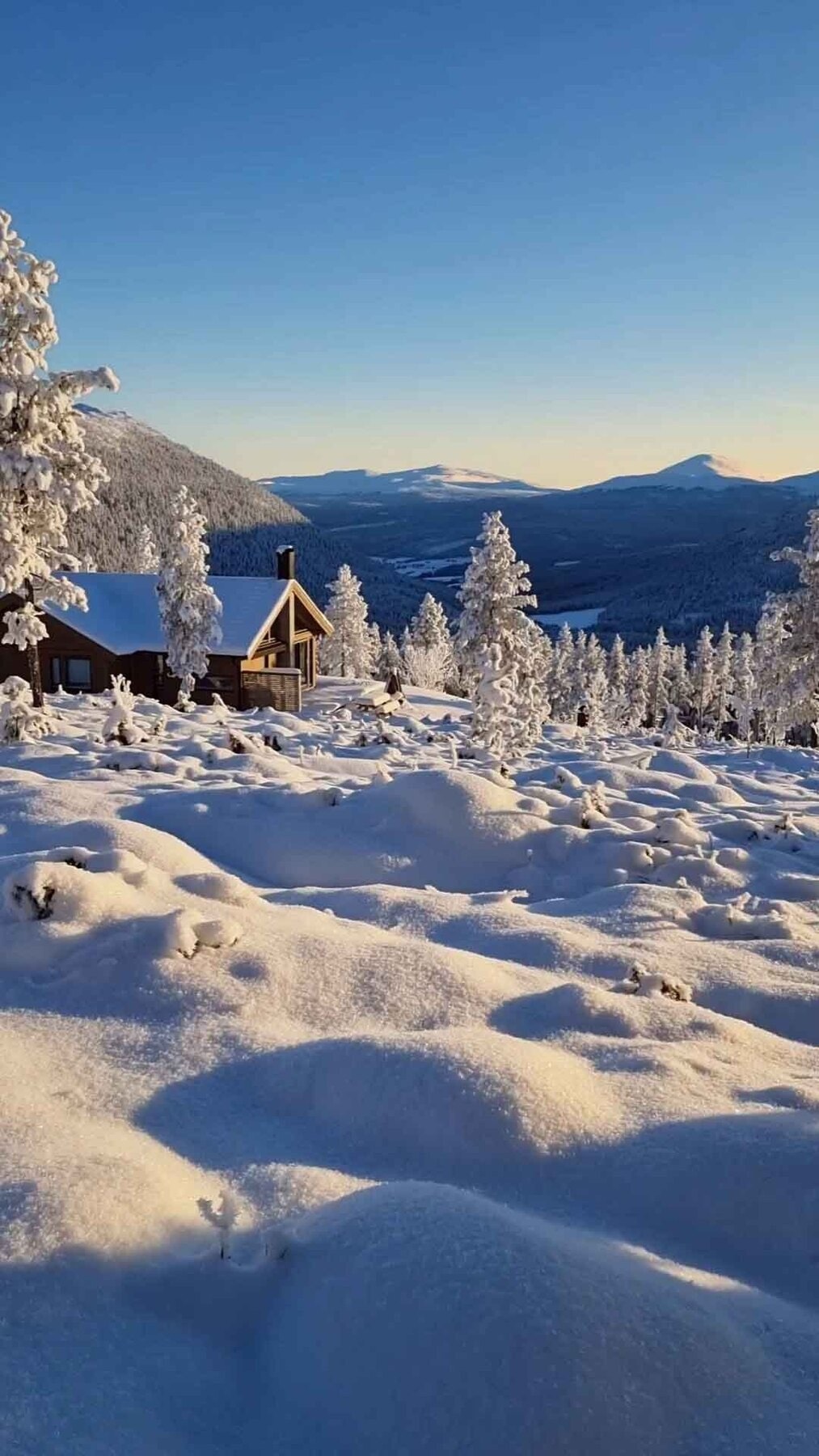 Foto fra tomteområdet Galleribilde