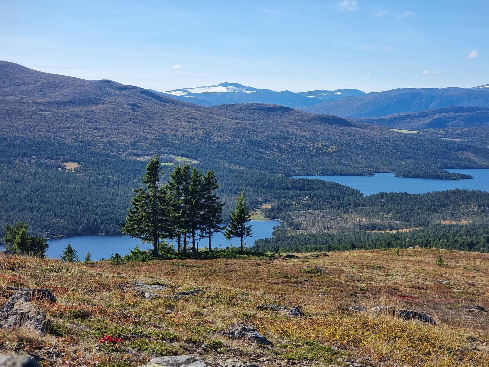 Her ser man Glittertind Galleribilde