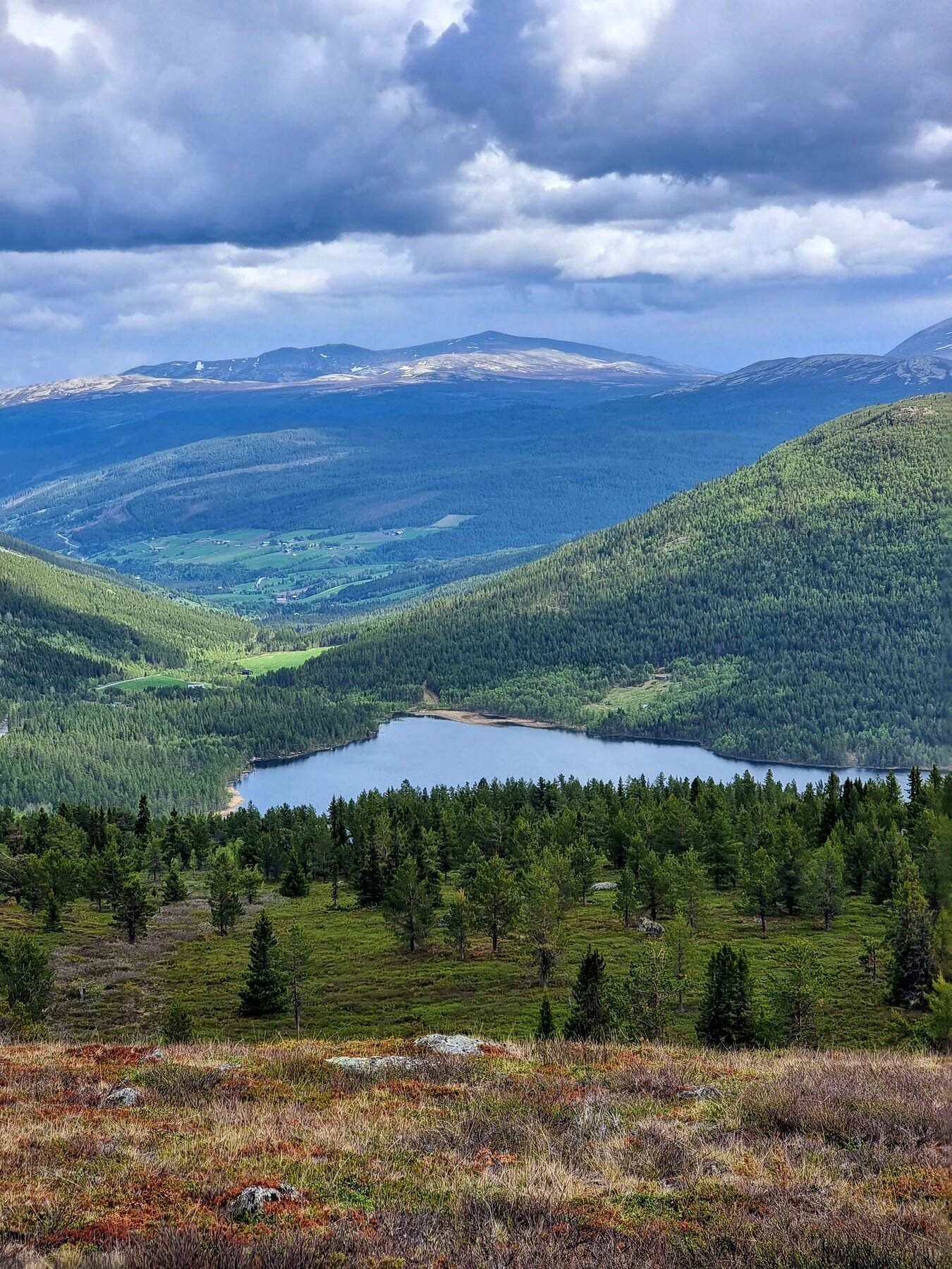 Flott utsikt fra tomteområdet mot Heidal og Saukampen Galleribilde