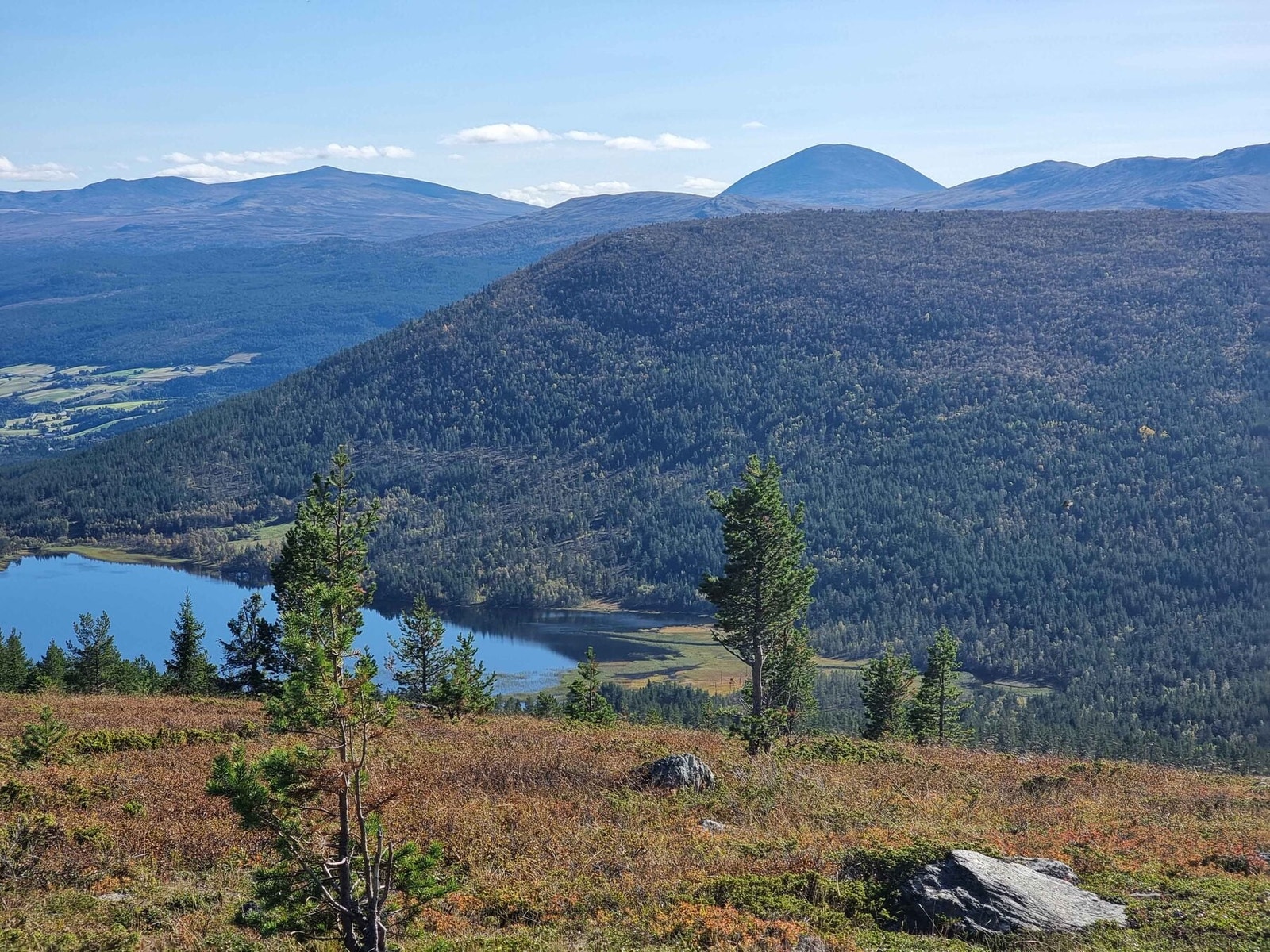 Fra tomteområdet mot Heidalsmuen og Mellingen Galleribilde
