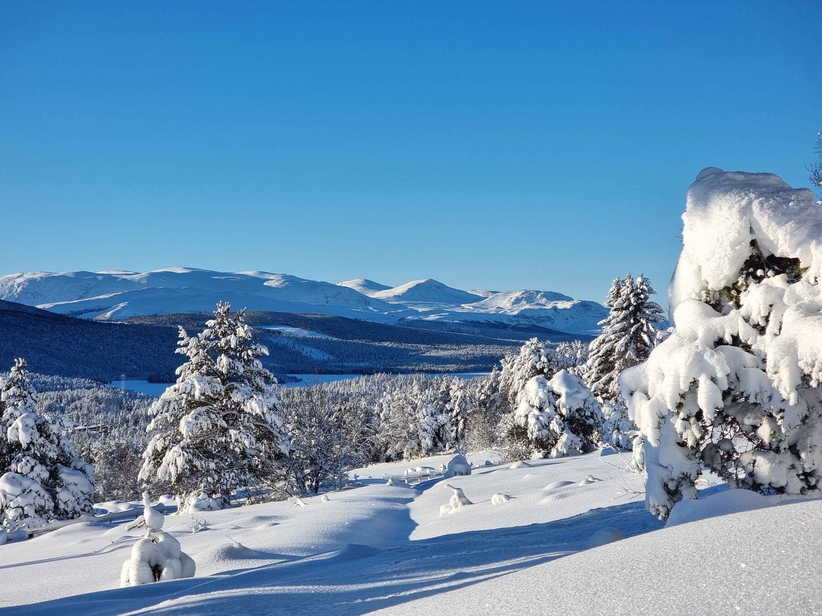 Foto fra tomteområdet Galleribilde