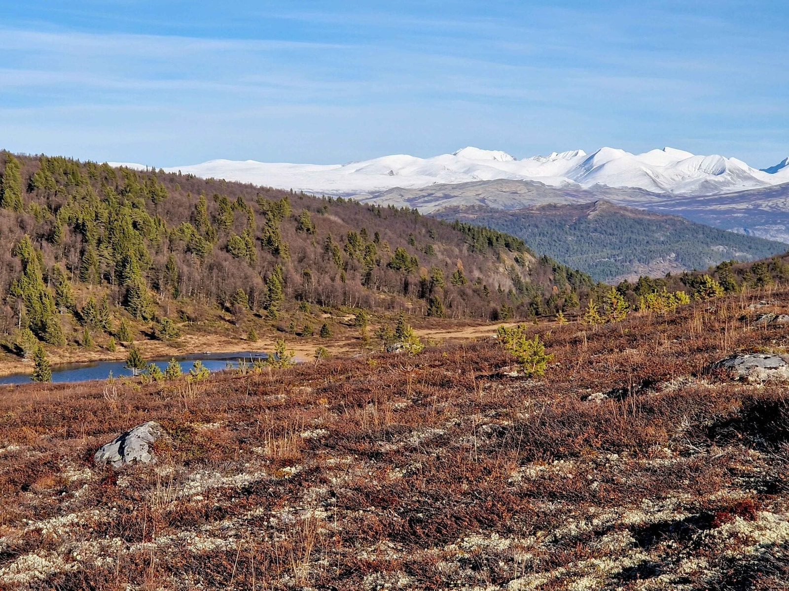 Området har flott turterreng og litt opp i høyden får man panorama mot både Rondane og Jotunheimen Galleribilde