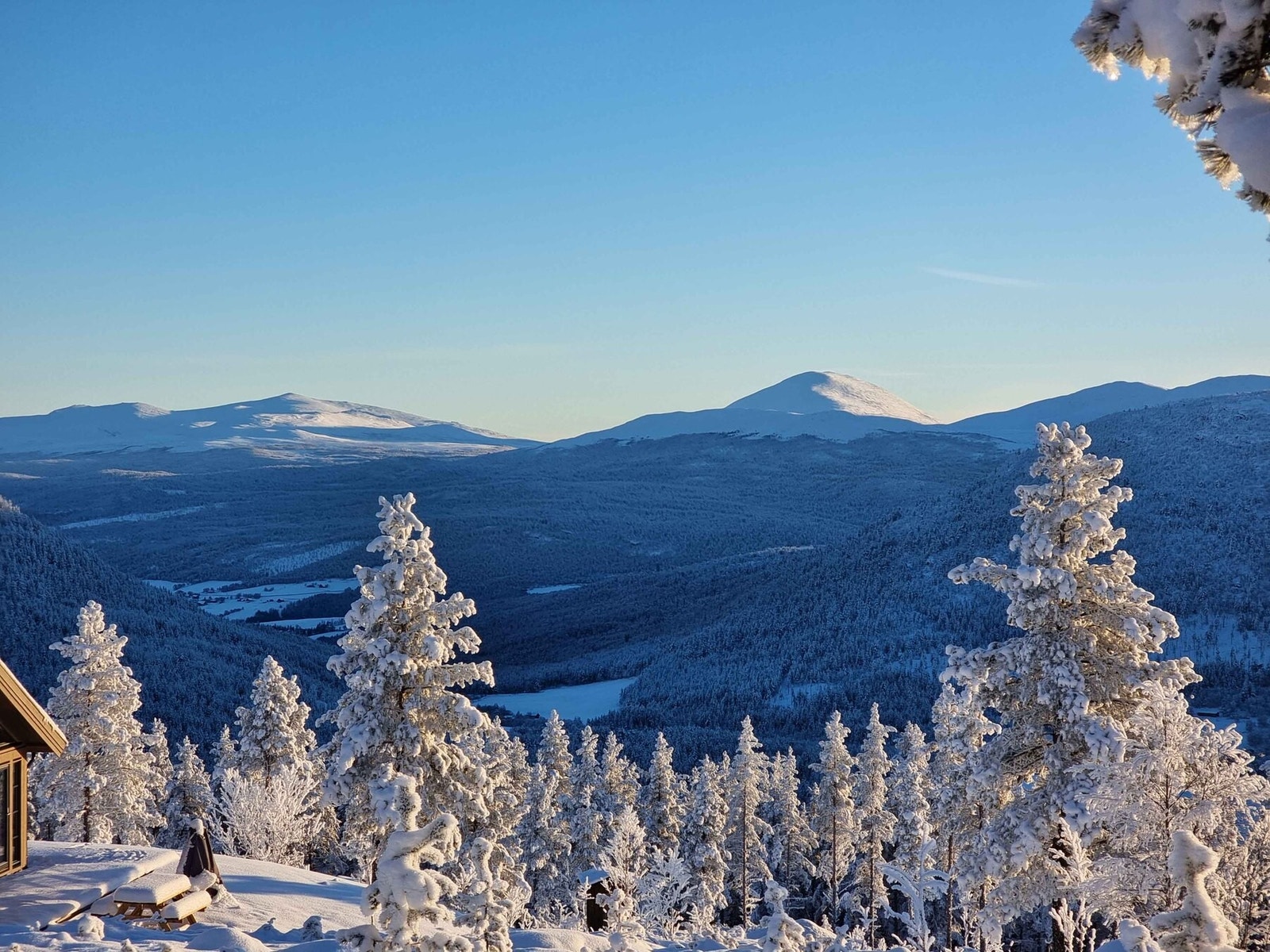 Foto fra tomteområdet Galleribilde