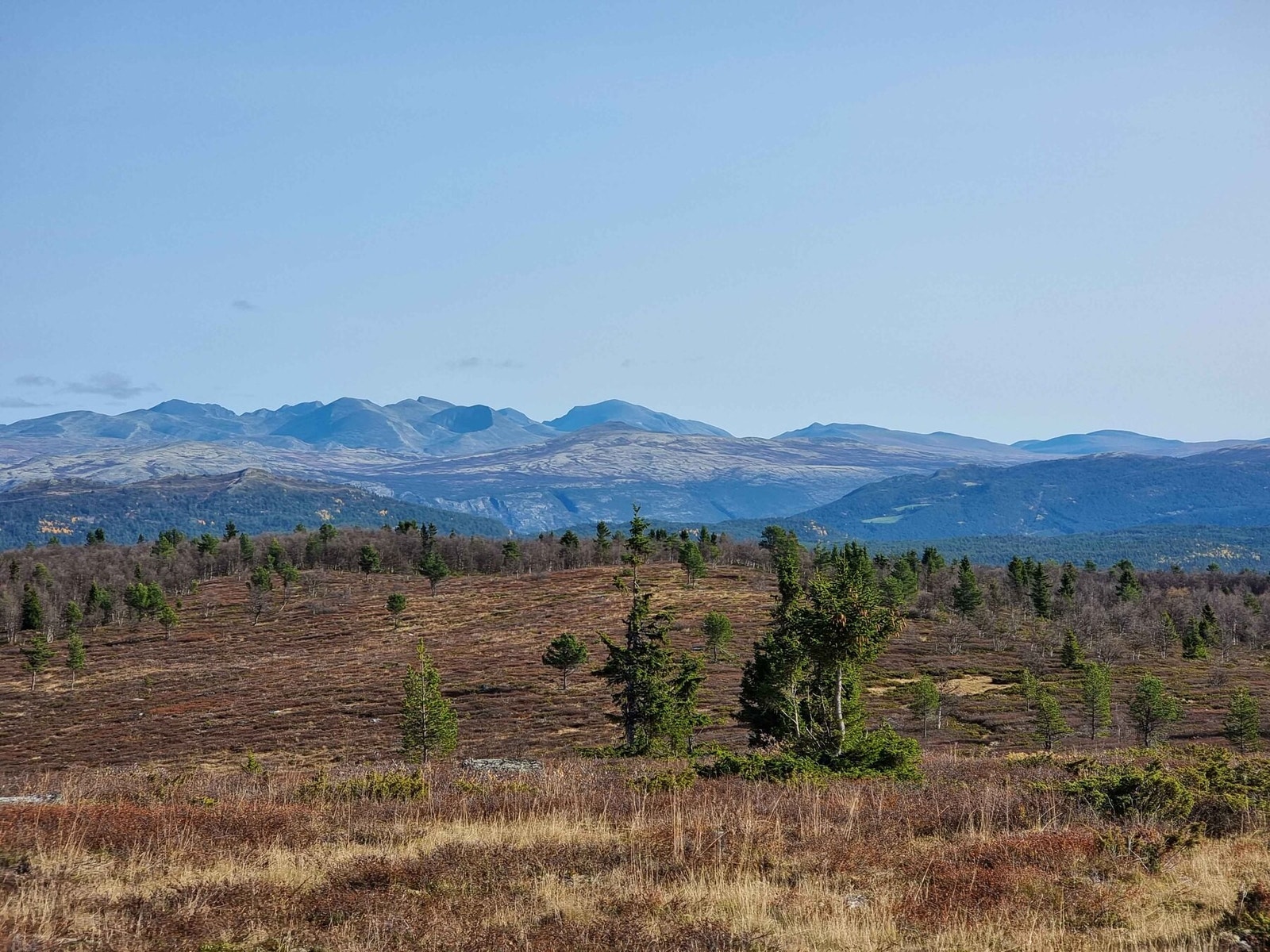 Utsikt mot Rondane i øst Galleribilde