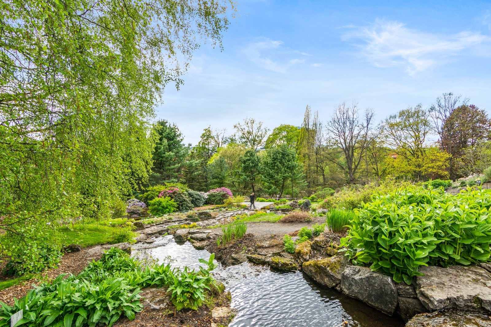 Botanisk hage. Galleribilde