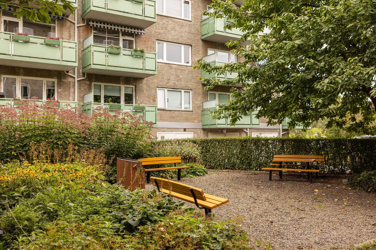 Veldrevet og hyggelig borettslag. Galleribilde