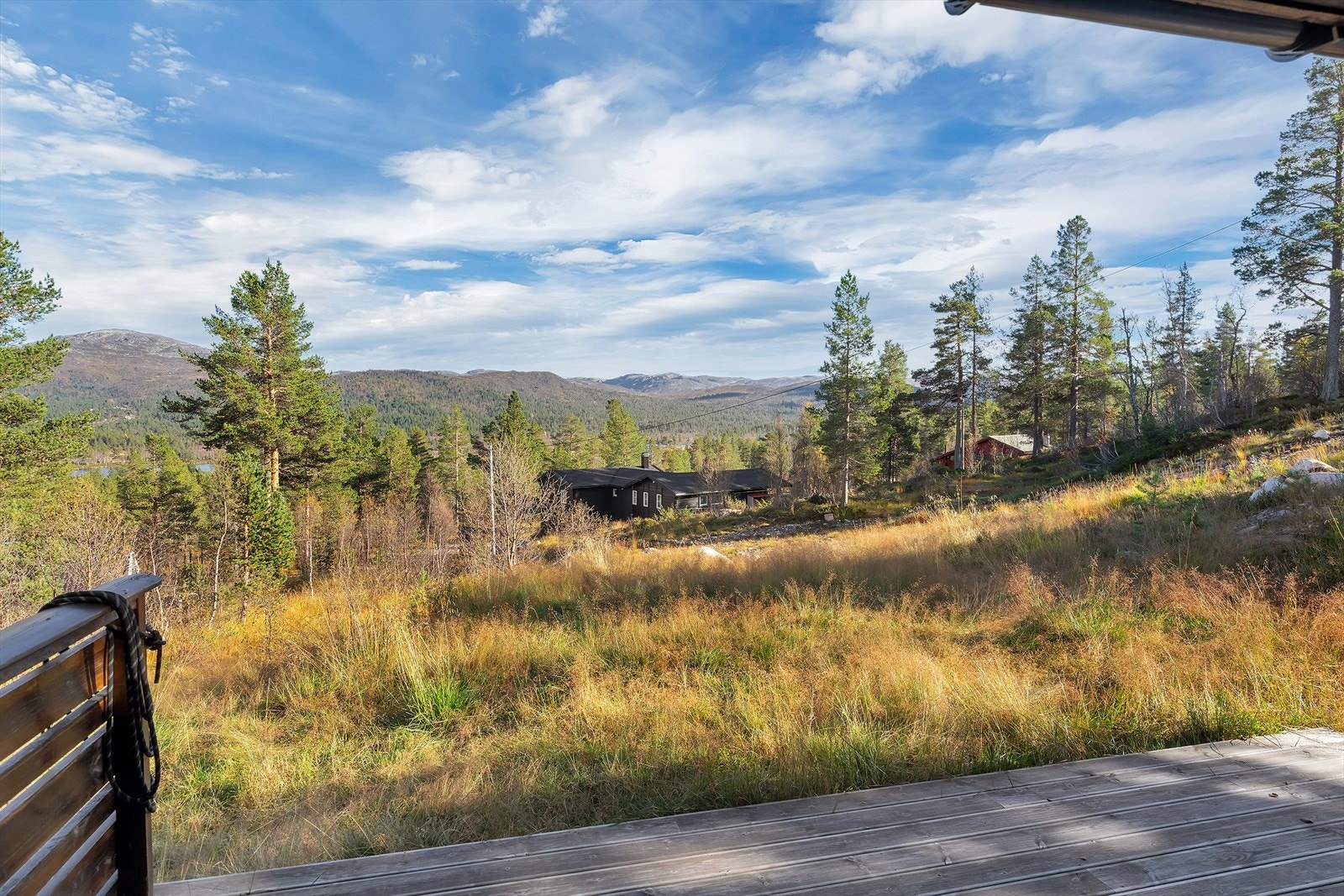 Utsikten fra terrassen Galleribilde