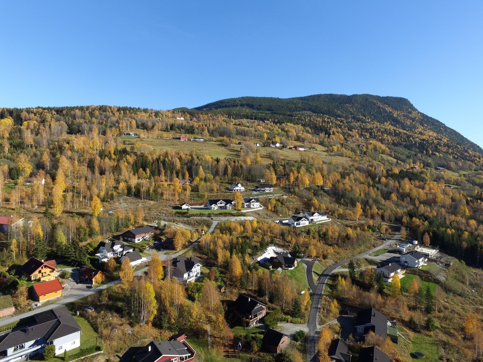 Naturen rett utenfor Galleribilde