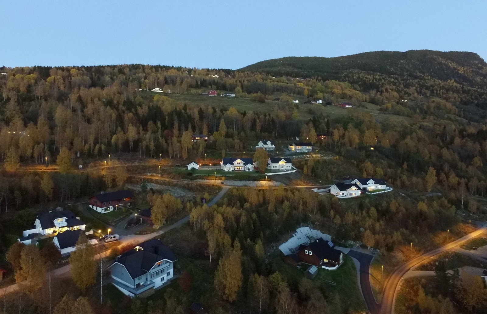 Ettermiddagsstemning i feltet Galleribilde