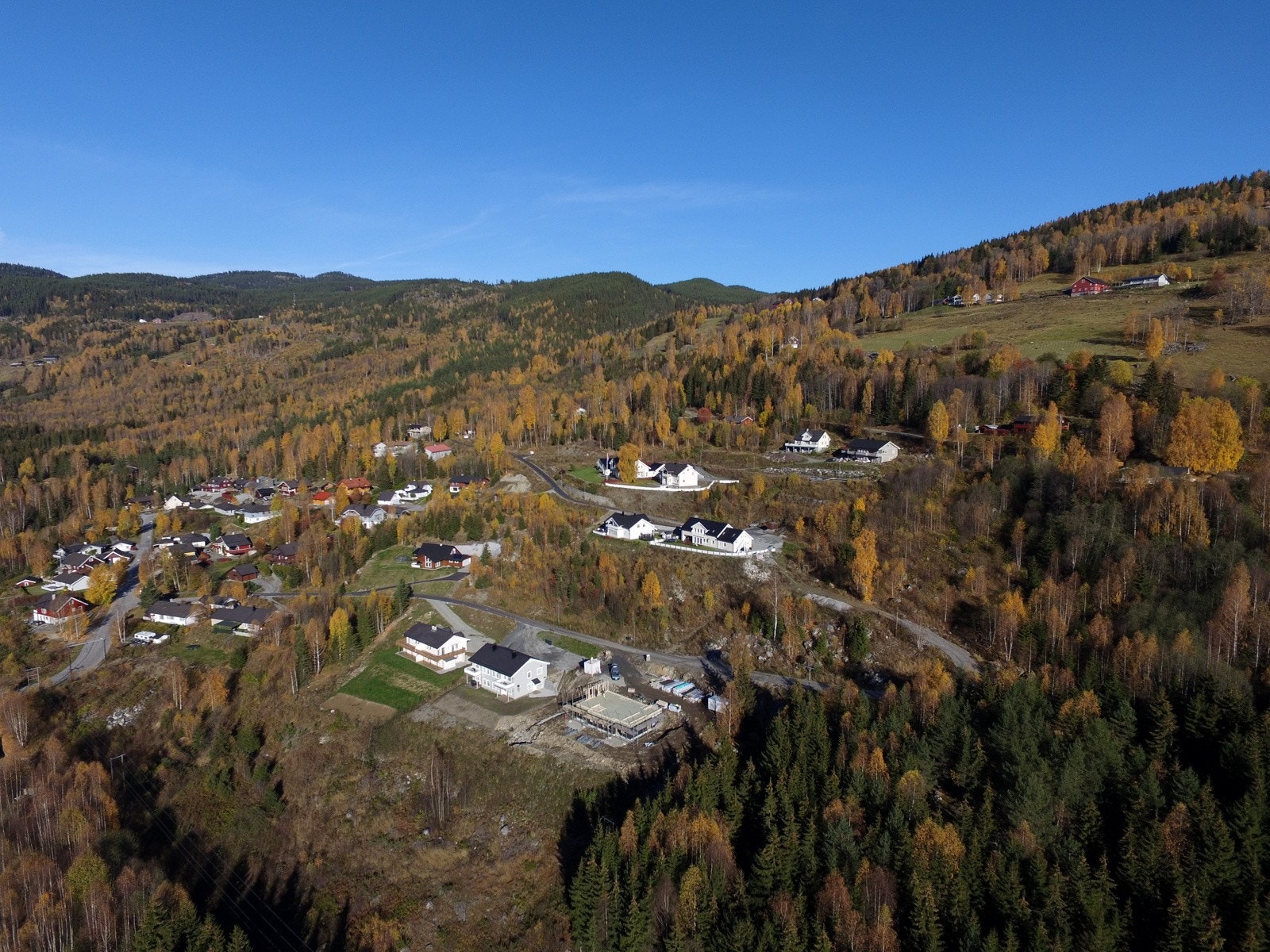 Oversiktsbilde over feltet Galleribilde