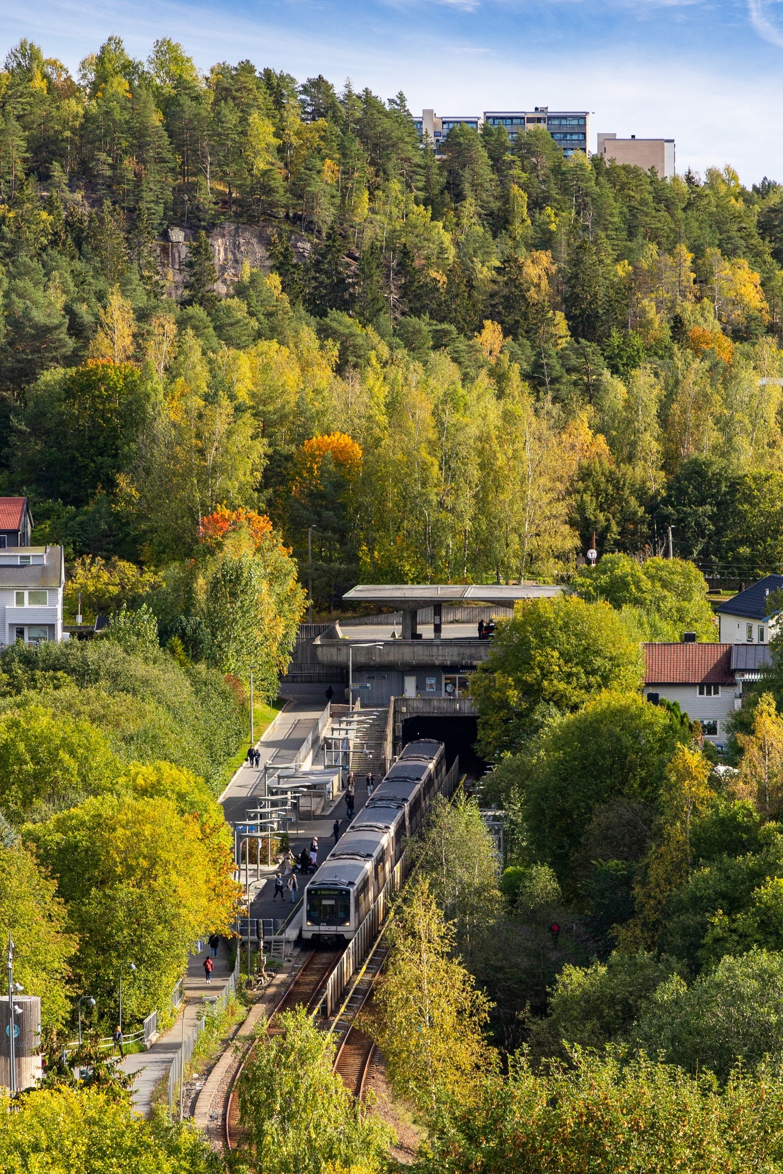 Nærområde Galleribilde