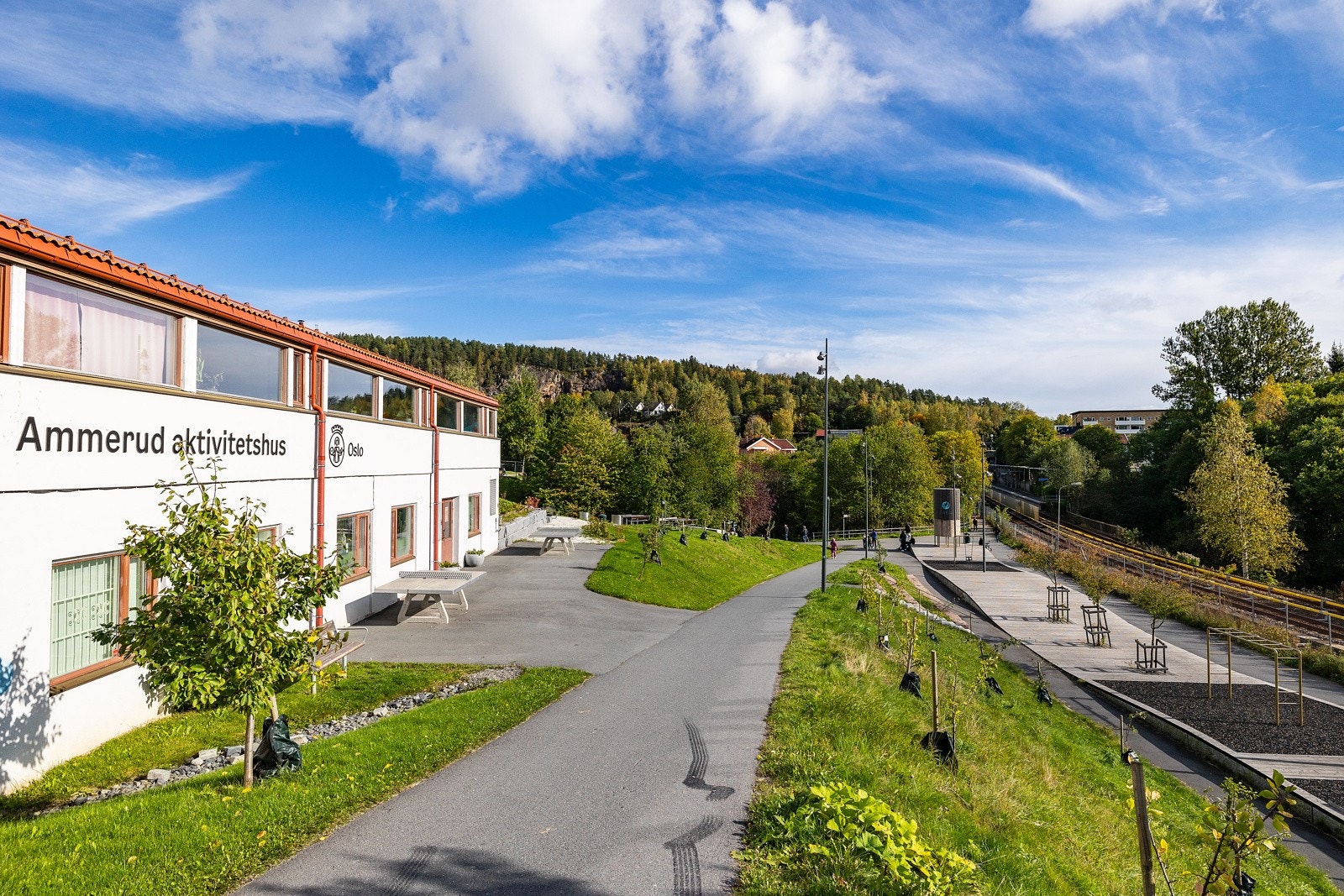 Nærområde Galleribilde