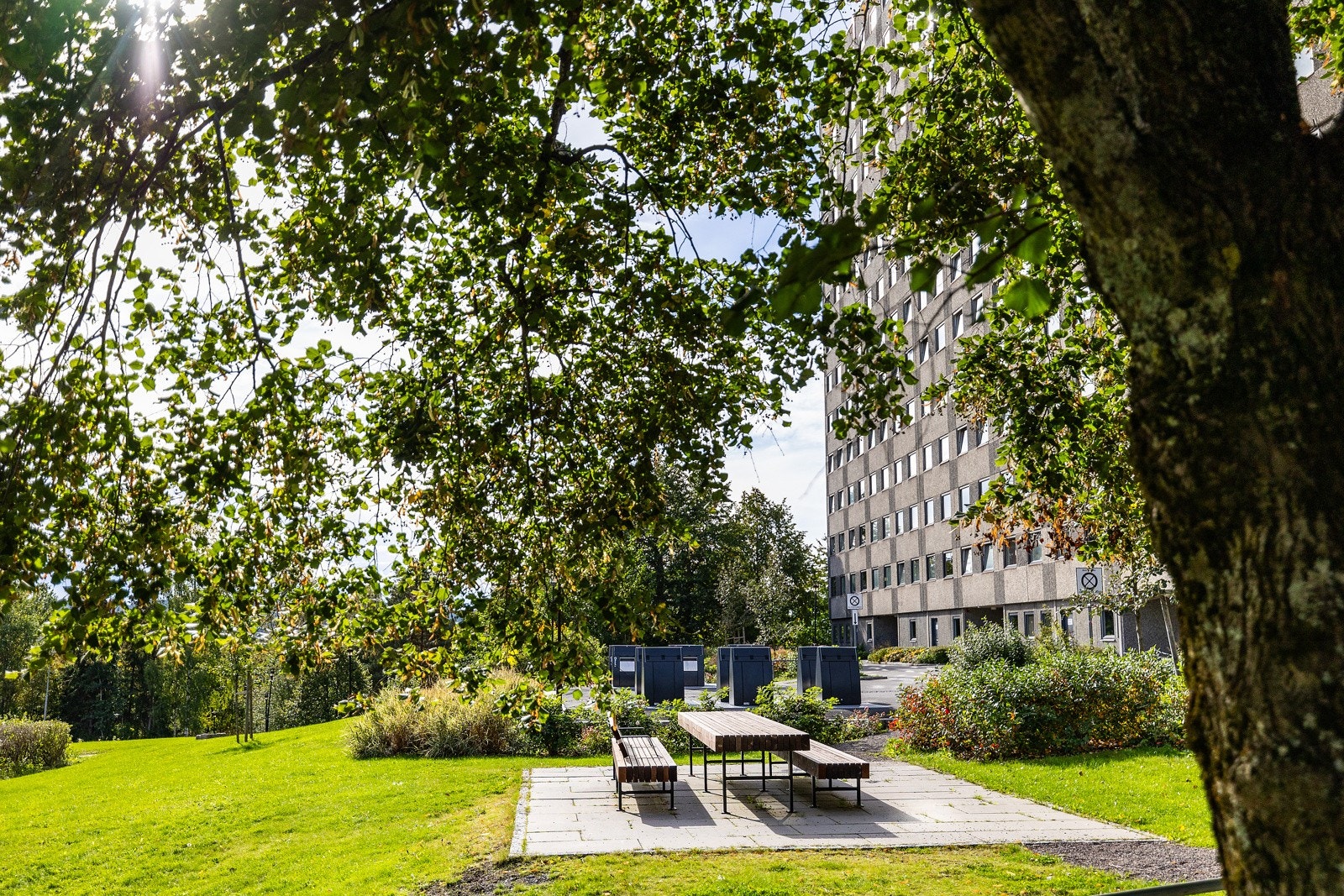 Nærområde Galleribilde