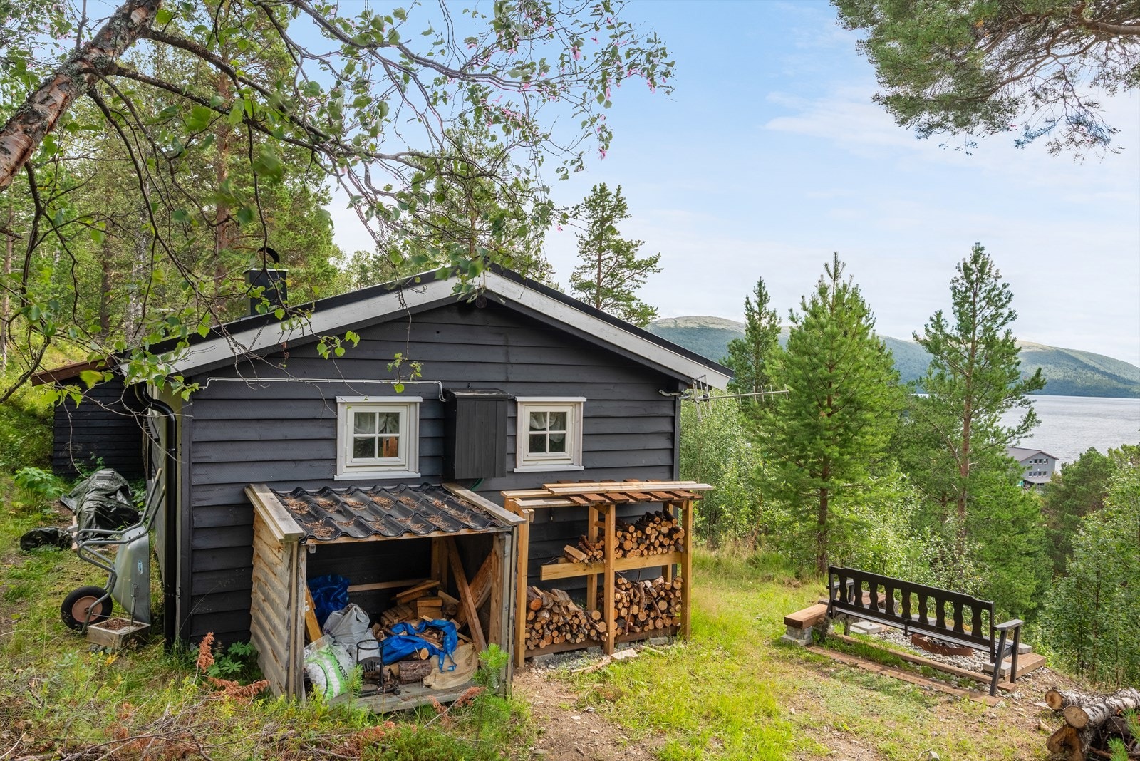 Fasade. Galleribilde