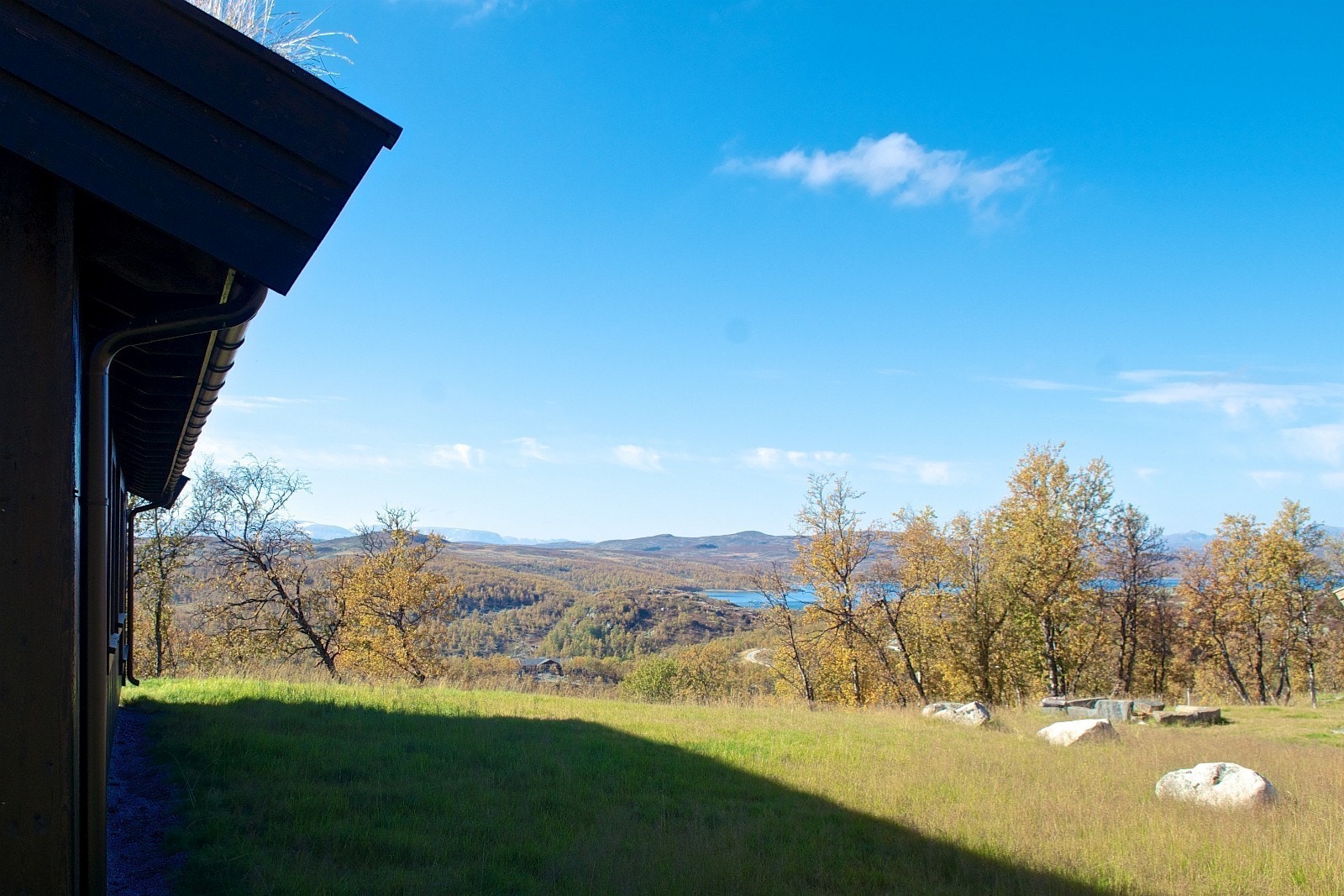 Bilde fra området (høst) Galleribilde