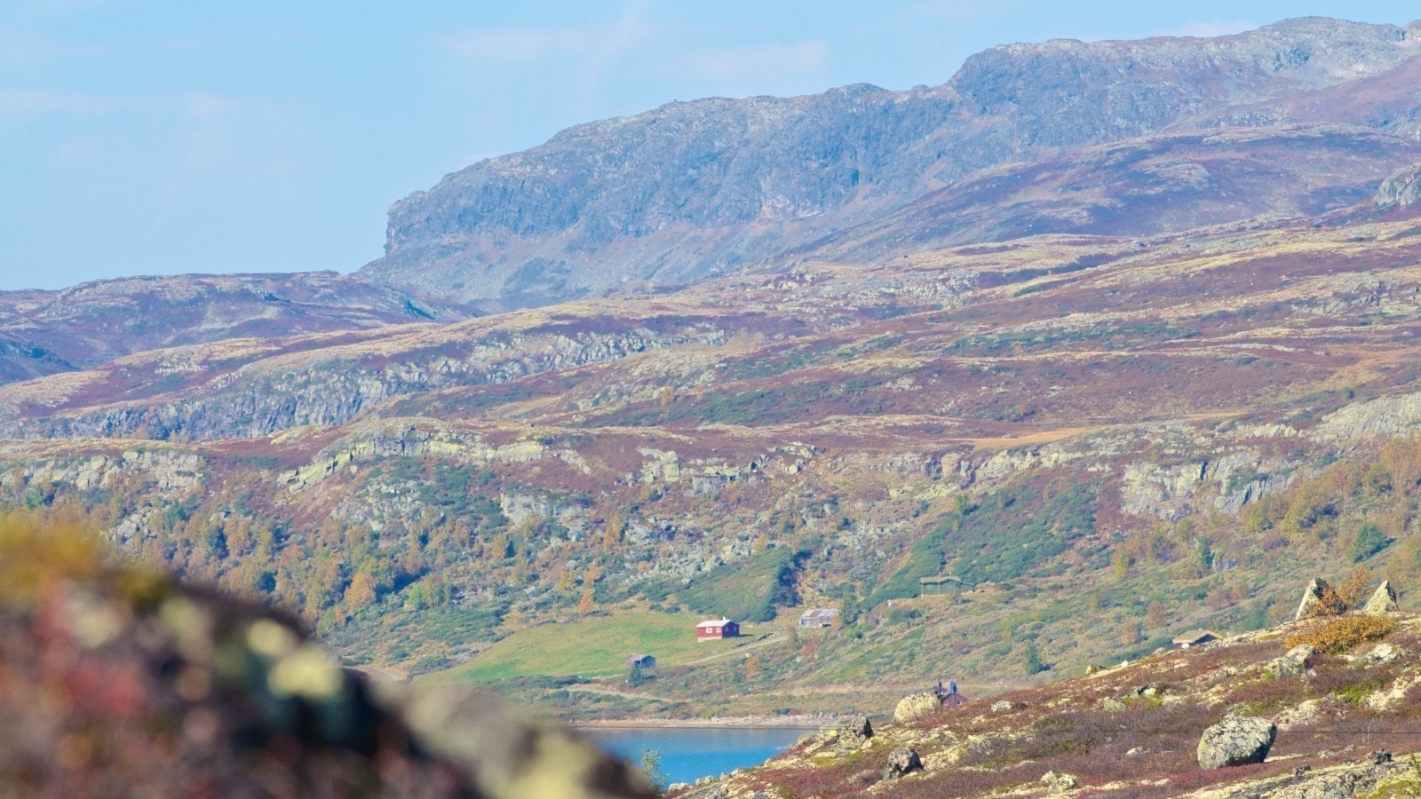 Bilde fra området (høst) Galleribilde