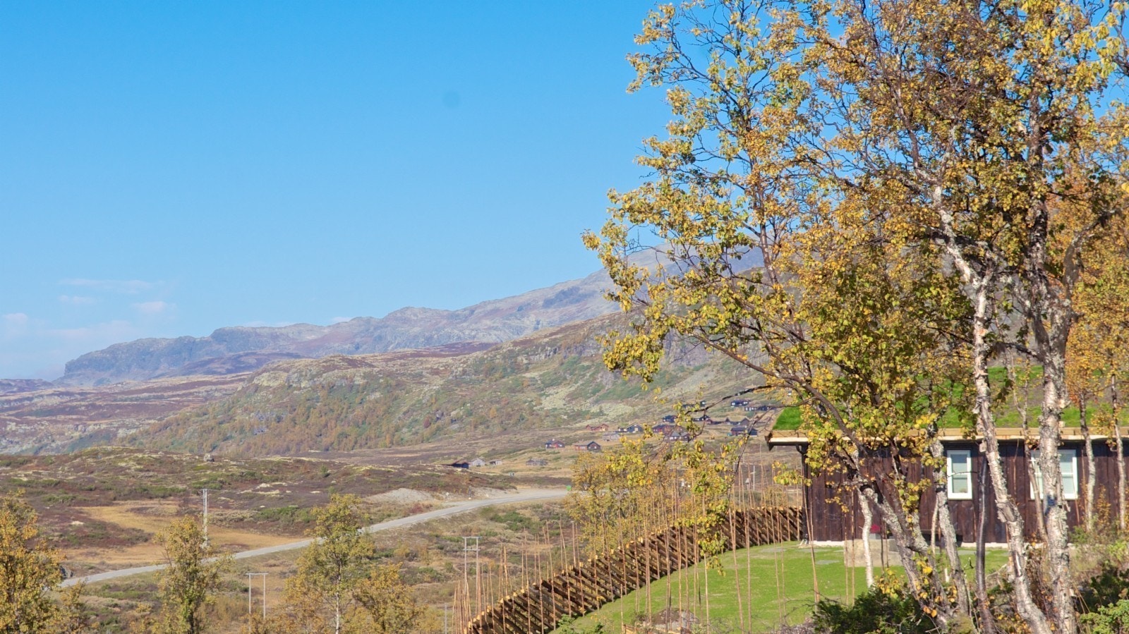 Bilde fra området (høst) Galleribilde