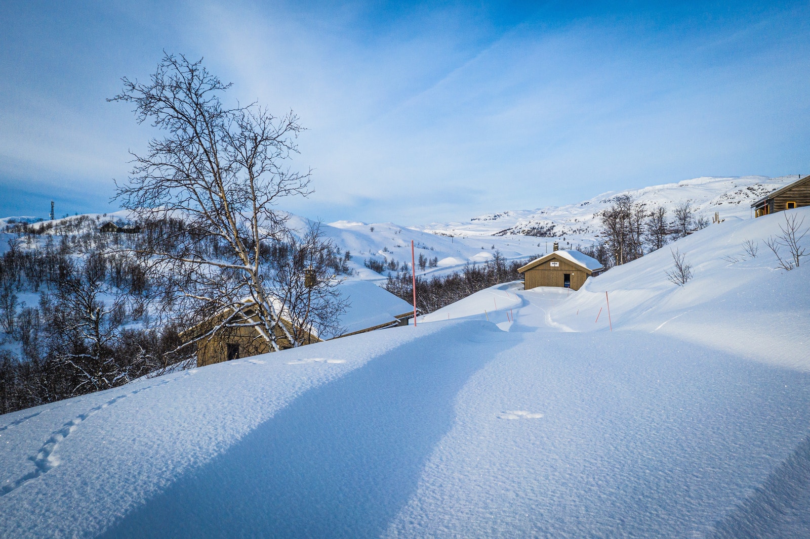 Bilde fra området (vinter) Galleribilde
