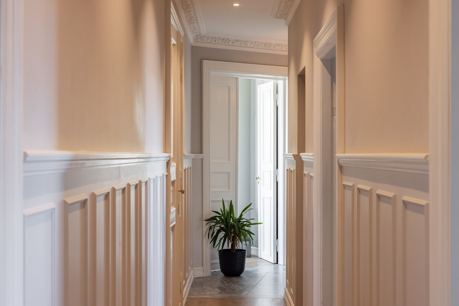 Mellomgang Galleribilde