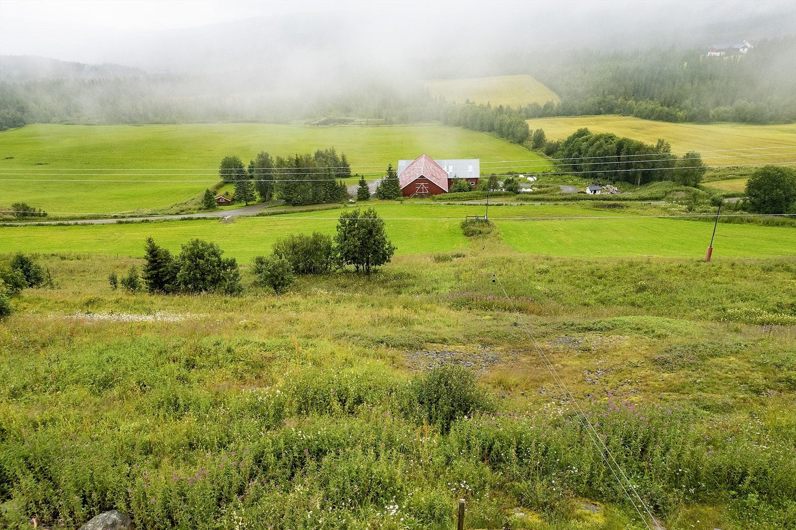 Egen akebakke vinterstid. Galleribilde